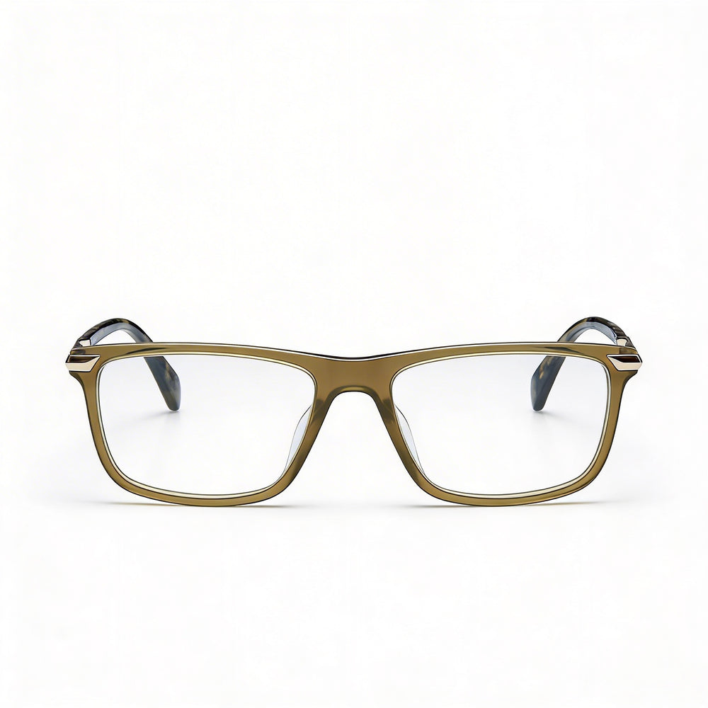 Gafas de sol modernas para mujer Rag & Bone, montura de acetato oliva, lentes de policarbonato oliva no polarizadas, 53 mm