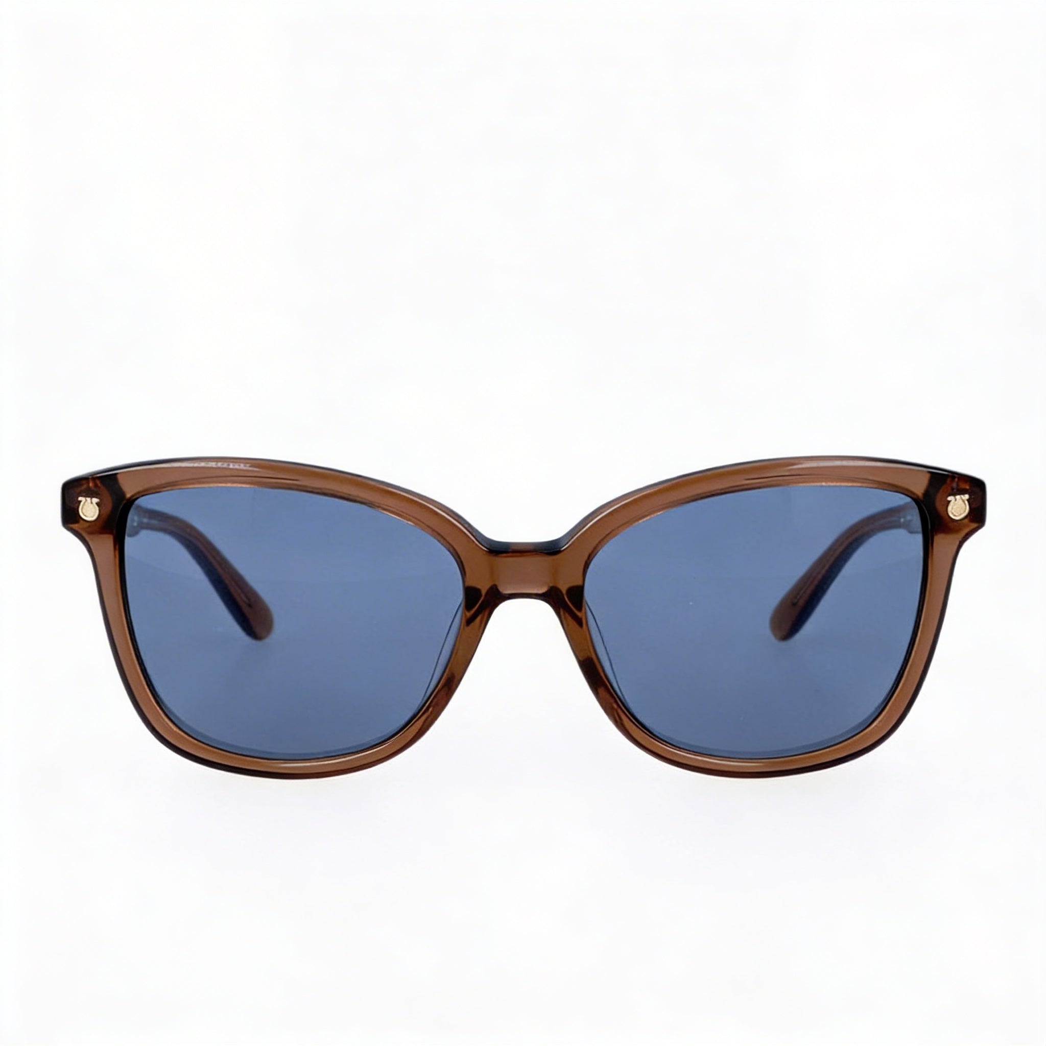 Gafas de sol Salvatore Ferragamo contemporáneas de acetato marrón para mujer, lentes UV azules, 56 mm, Photo 2