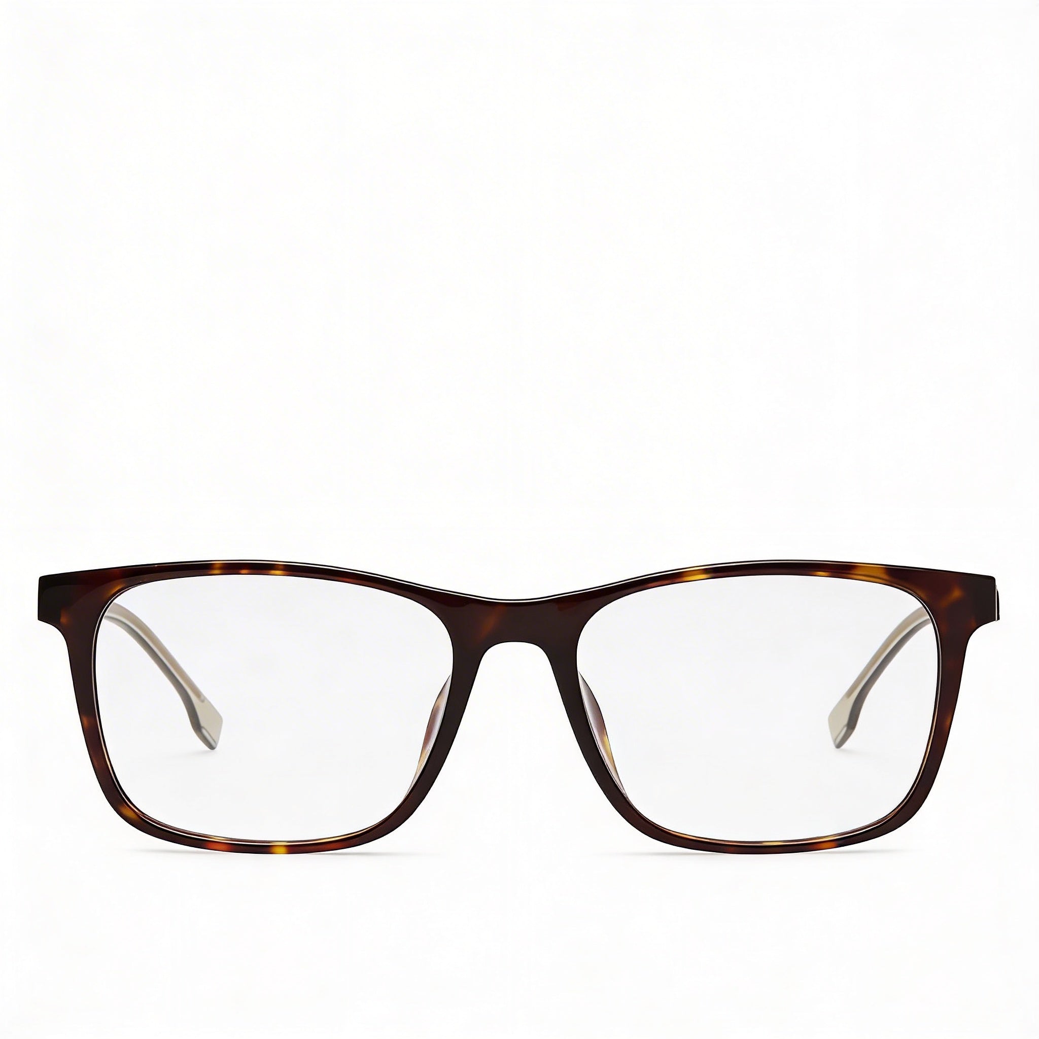 Hugo Boss Audio Systems Boss 1343/F Unisex Havana Plastic Frame with Polycarbonate Lenses 54mm, Photo 2