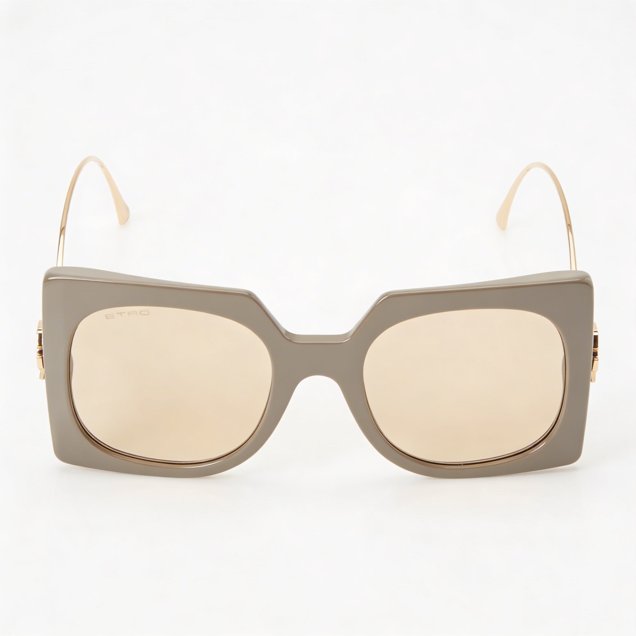Etro Casual Women's Mud Acetate Frame Brown Polycarbonate Lens UV Protected Sunglasses 54-23-140, Photo 2