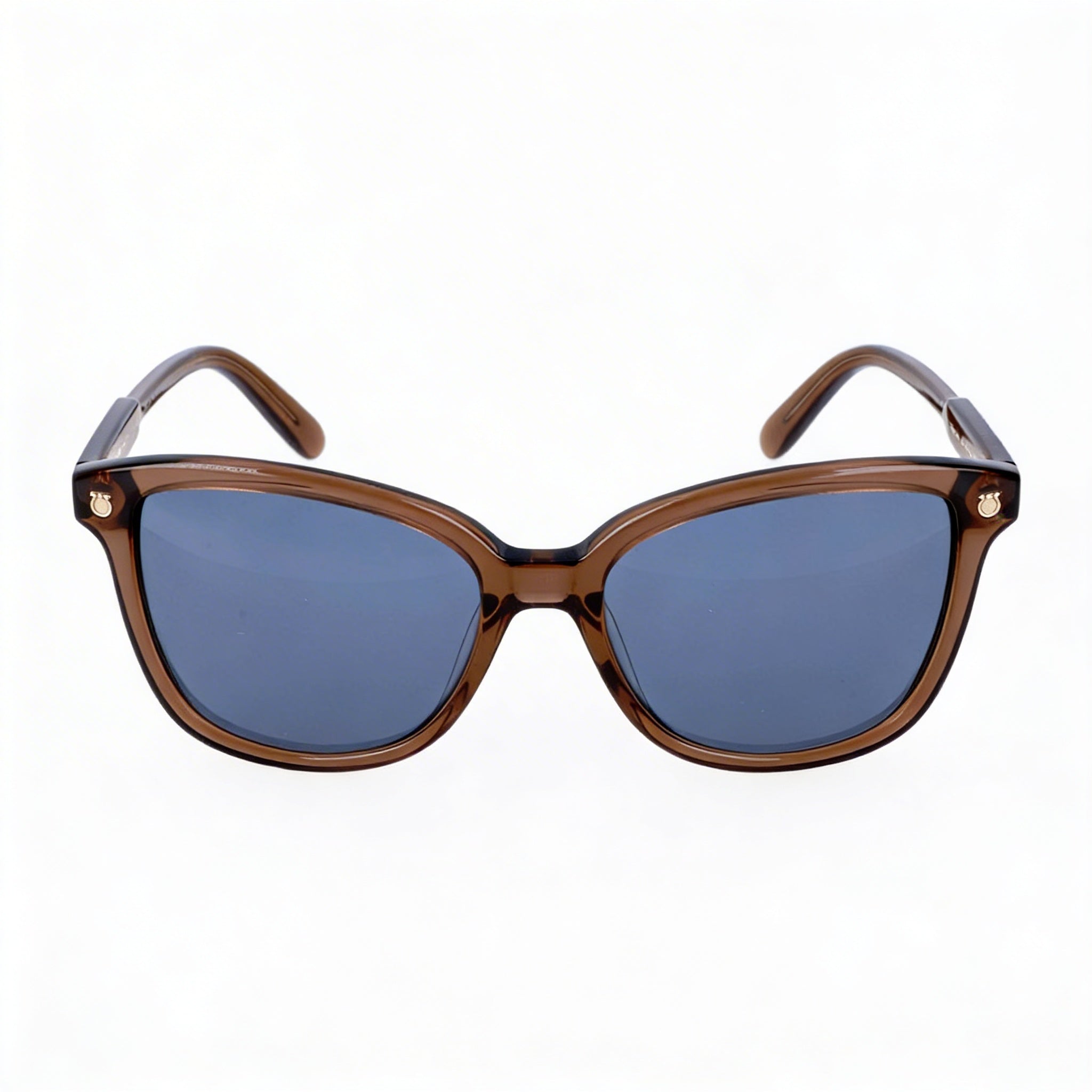 Gafas de sol Ferragamo Contemporary para mujer, de acetato marrón, con lentes azules no polarizadas y protección UV, 56 mm, Photo 1