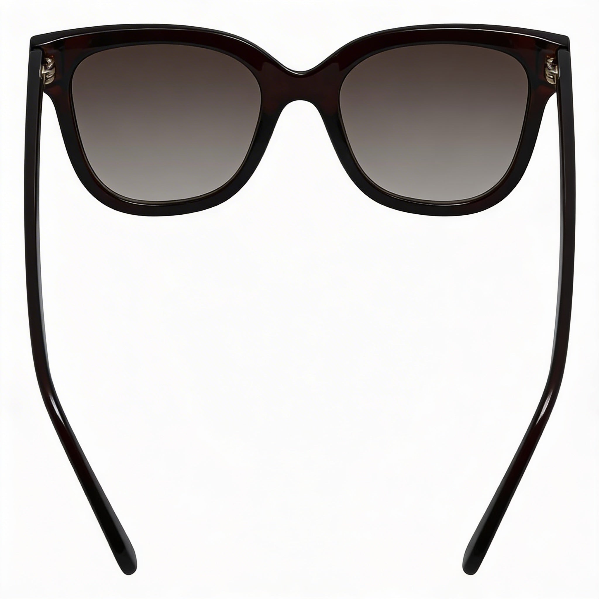 Ferragamo SF1066S Women's Crystal Brown Plastic Frame Grey Gradient UV Sunglasses 52mm, Photo 2