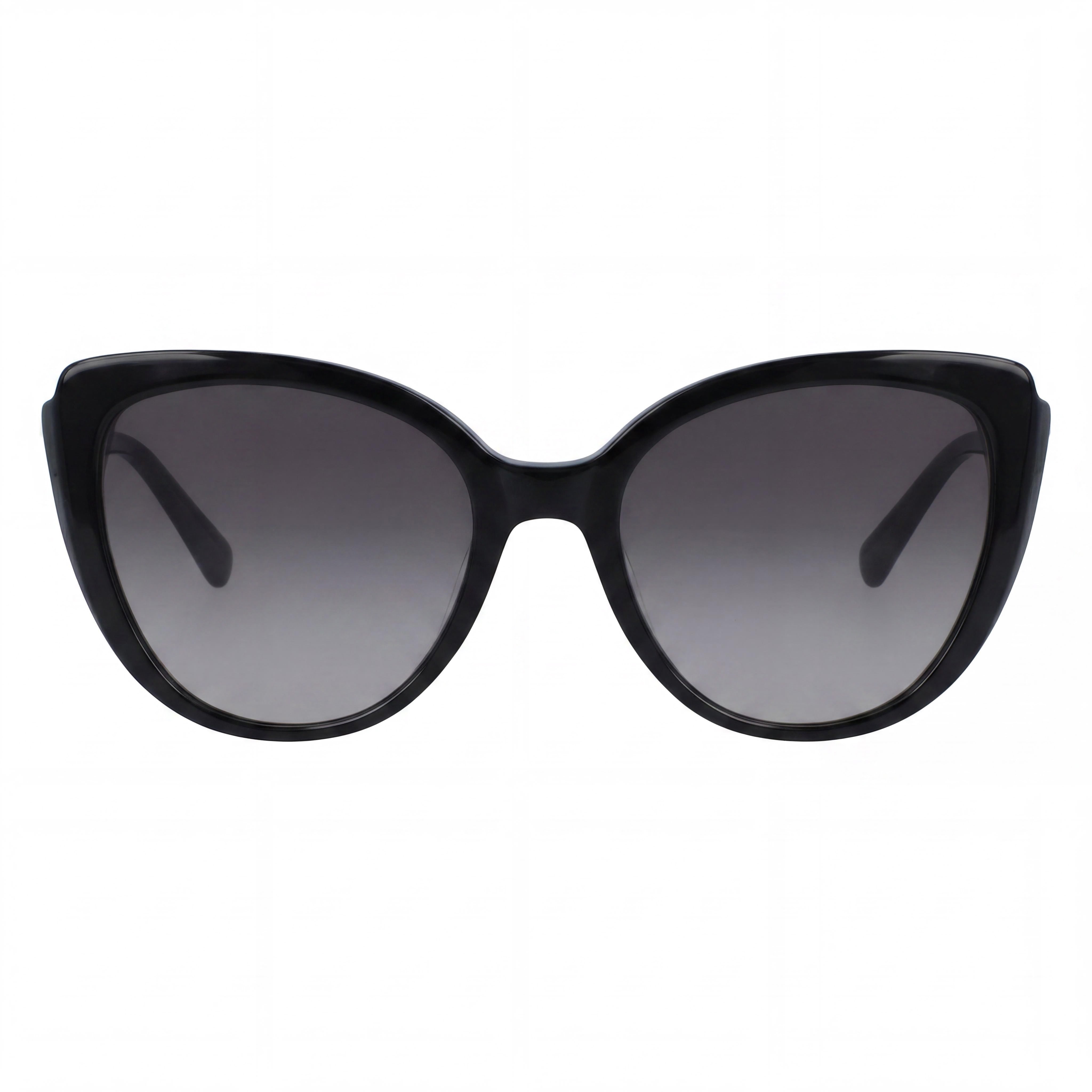 Longchamp Butterfly Women's Black Plastic 100% UV Protection Non-Polarized Gradient Grey Sunglasses 54mm, Photo 2