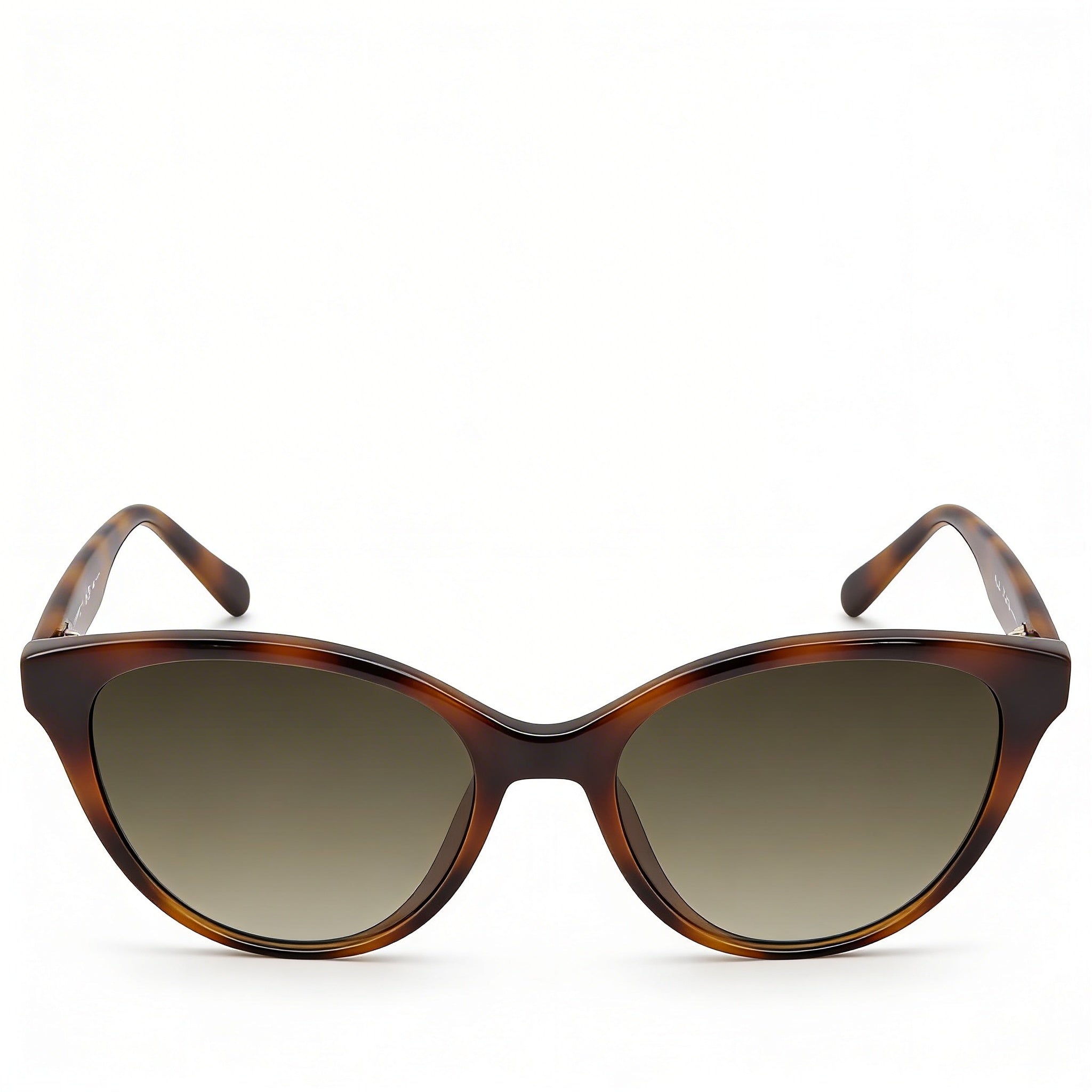 Ferragamo SF1073S 240 Women's Butterfly Tortoise Grey Gradient 100% UV Sunglasses 54mm, Photo 2
