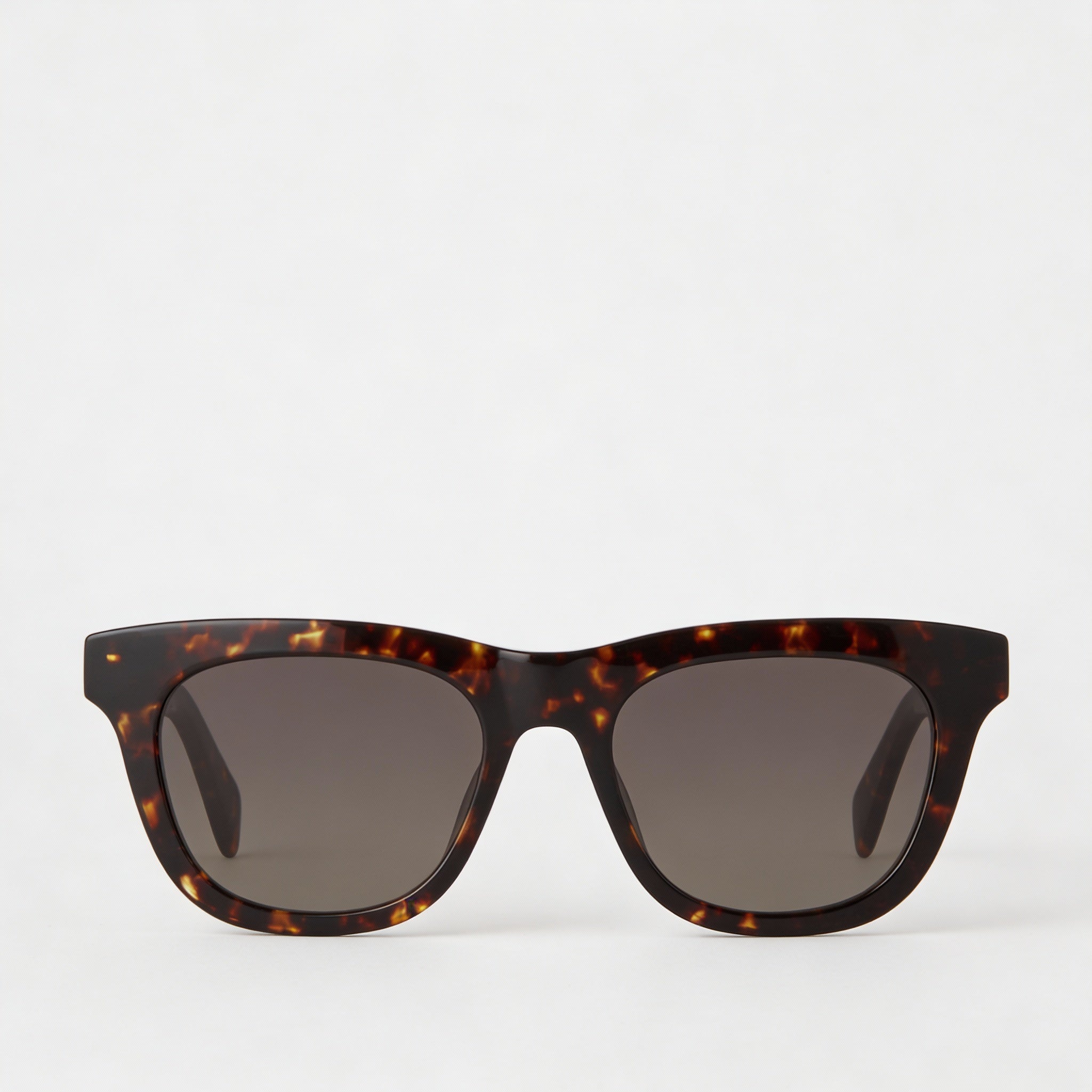 Rag & bone Casual Women's Havana Ecological Oil Frame Brown Shaded Non-Polarized Sunglasses 52/19/145, Photo 2