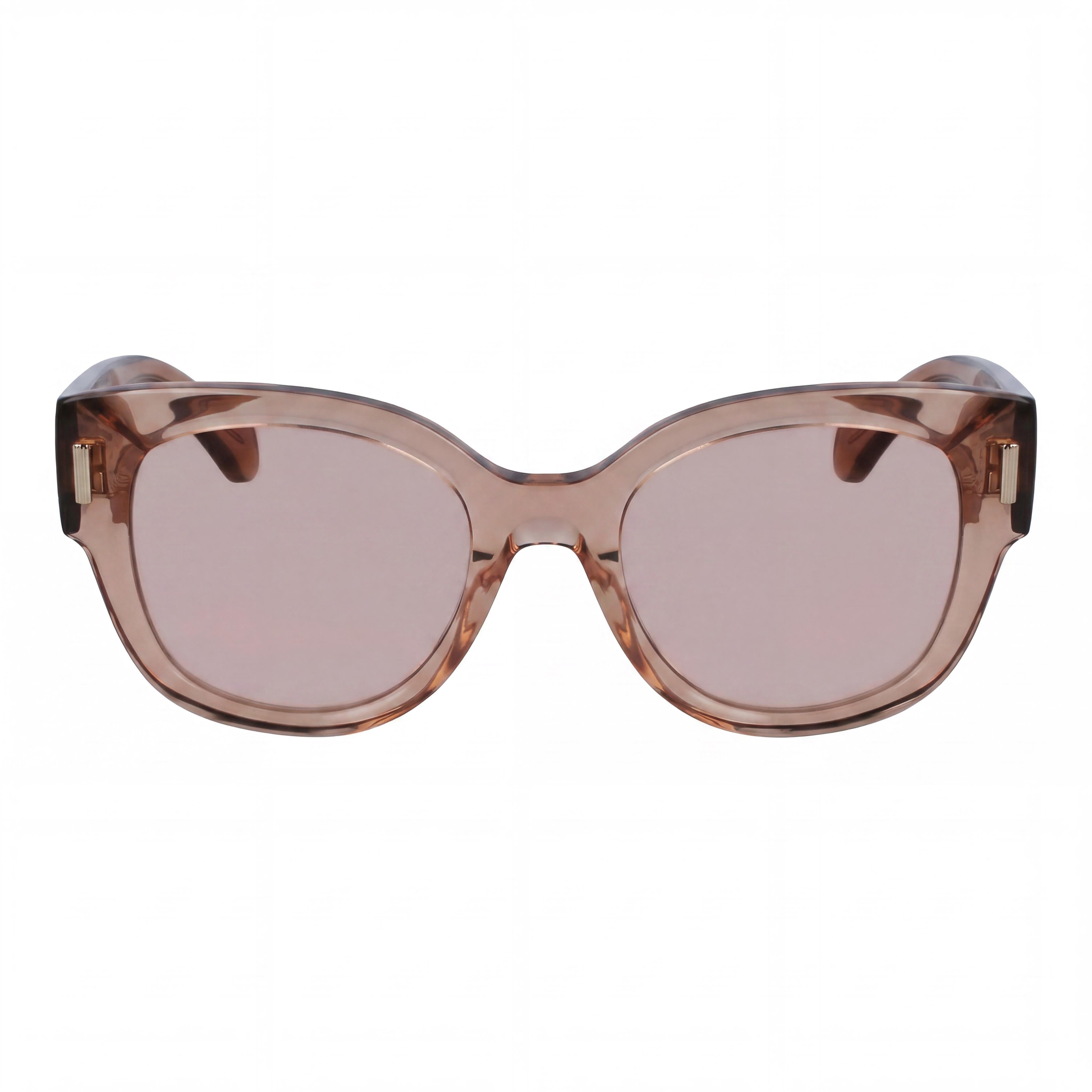 Salvatore Ferragamo Sf2007s Women's Transparent Nude Pink Acetate UV Protection Sunglasses 51mm, Photo 2