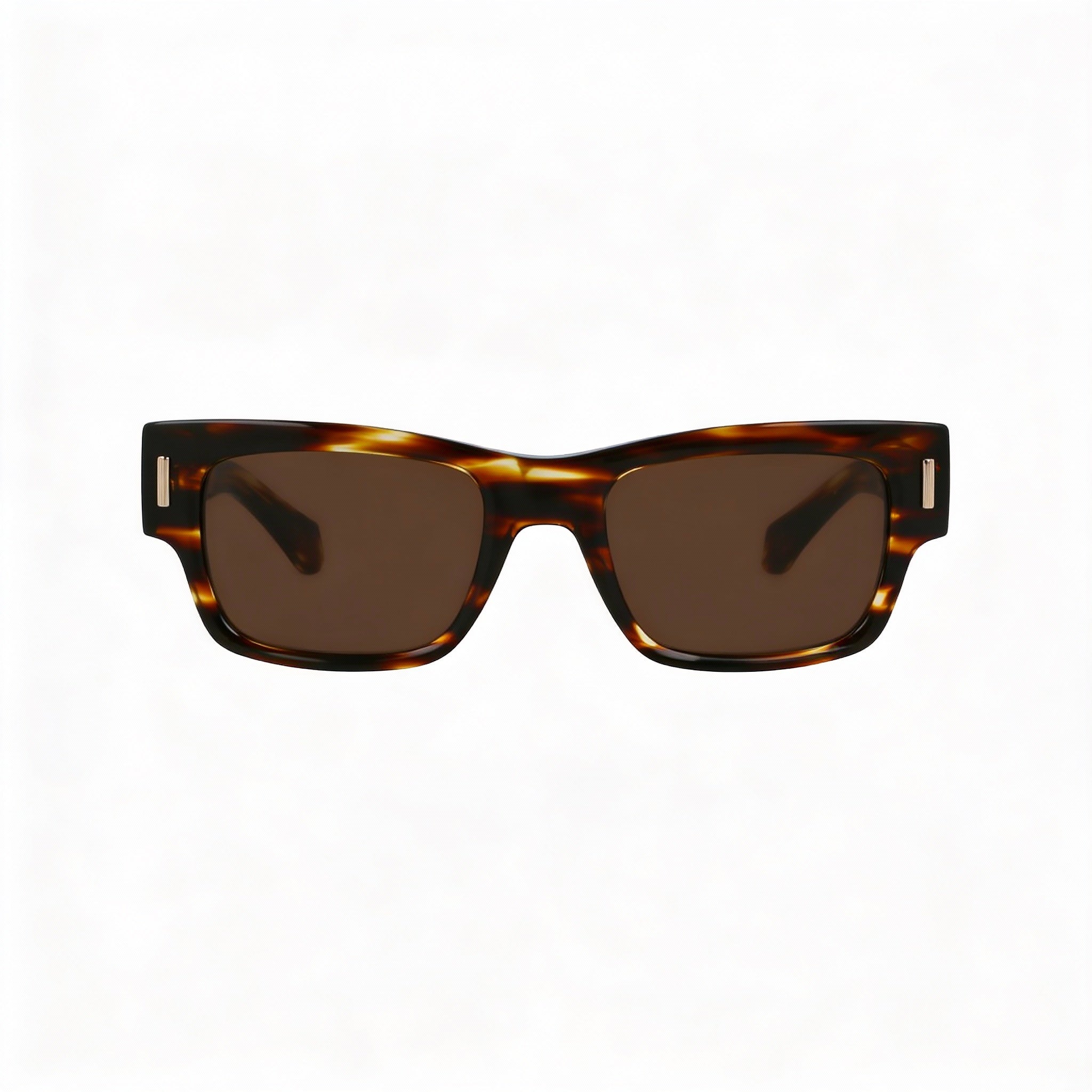 Salvatore Ferragamo Sf2011s Men's Plastic Frame Eyewear featuring UV Protection, Striped Brown, 53mm, Photo 2