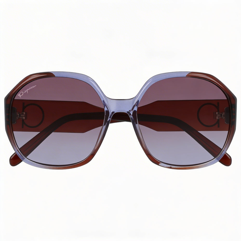 Salvatore Ferragamo Classic Unisex Plastic Frame Sunglasses UV Protection Violet Brown Gradient 60-18-145mm
