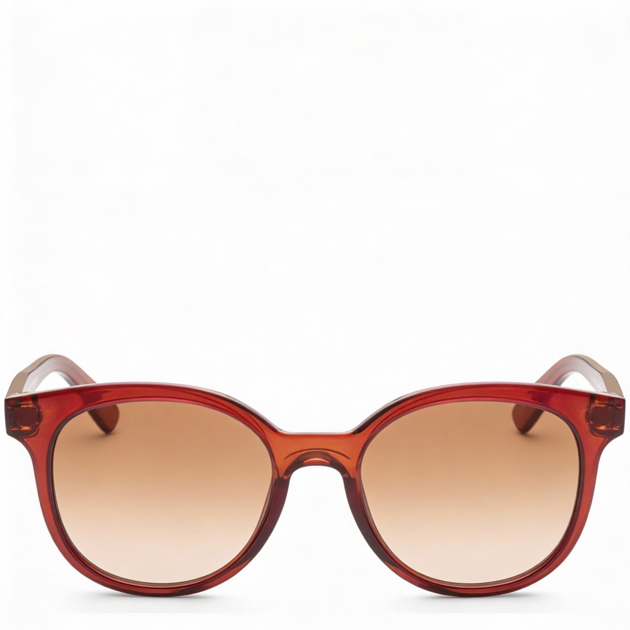 Salvatore Ferragamo Women's Classic Round Brown Crystal Plastic Brown Gradient UV Protection Sunglasses 53mm