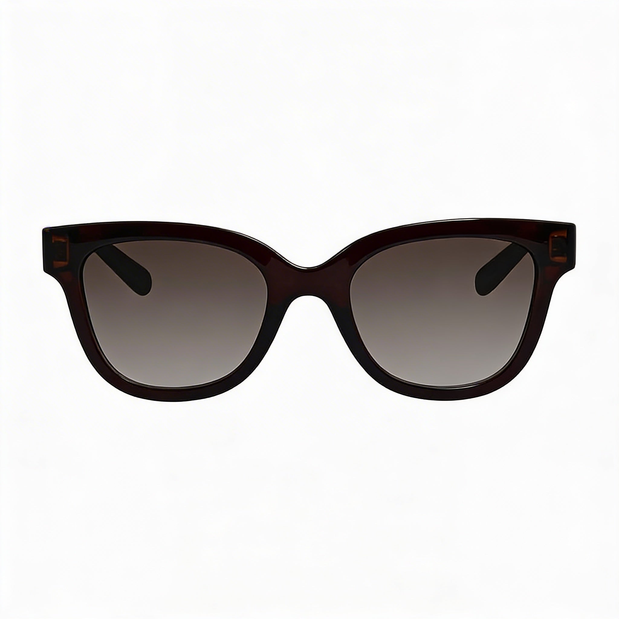 Gafas de sol Salvatore Ferragamo SF1066S para mujer, de plástico color café cristalino, cuadradas, con lentes grises degradados no polarizados de 52 mm y 100 % protección UV, Photo 2