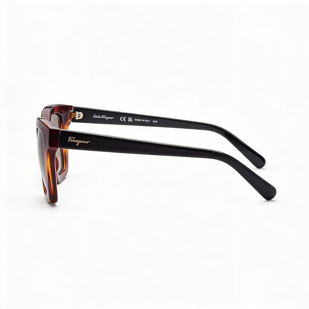 Salvatore Ferragamo Classic Unisex Tortoise Plastic Brown Gradient Non-Polarized UV Protection 53mm Sunglasses
