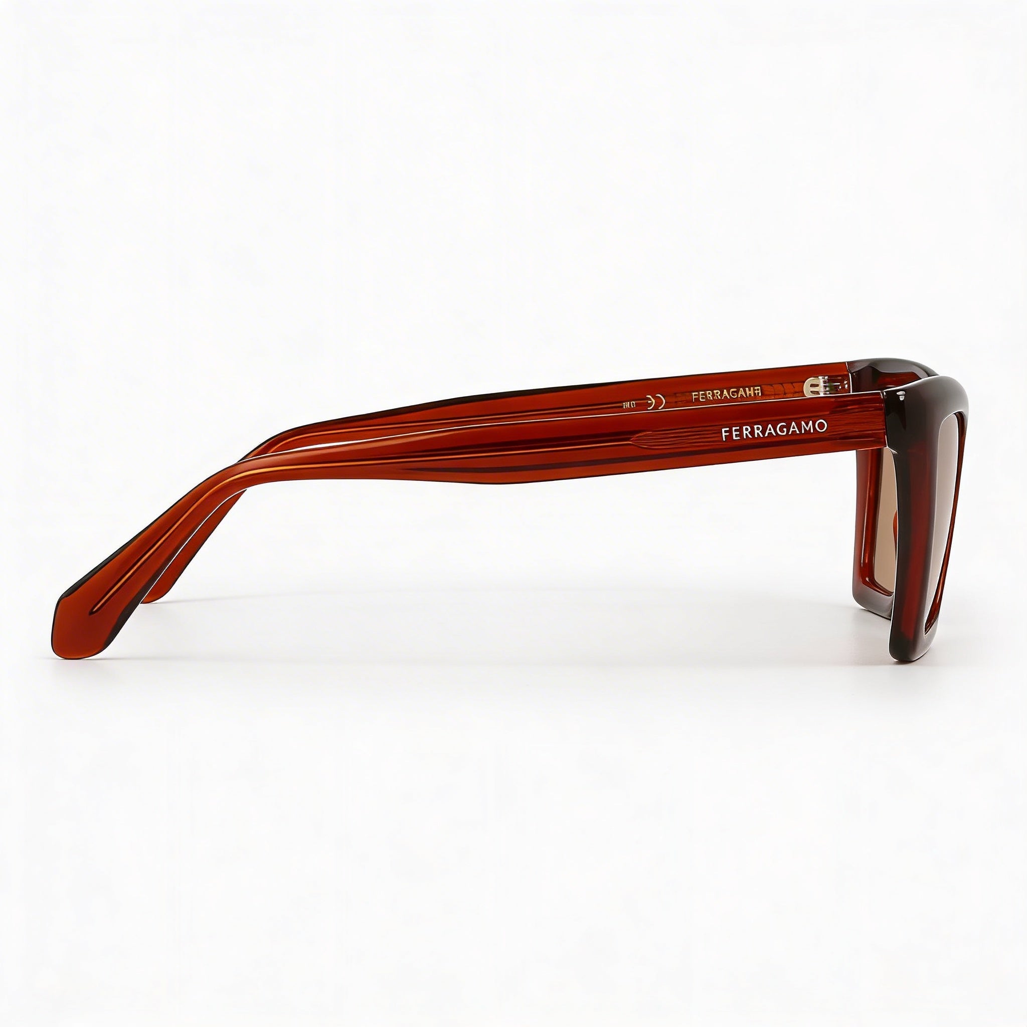 Ferragamo Women's Sf2039se Acetate Transparent Rust Non-Polarized UV 400 Eyewear 53-17-145, Photo 3