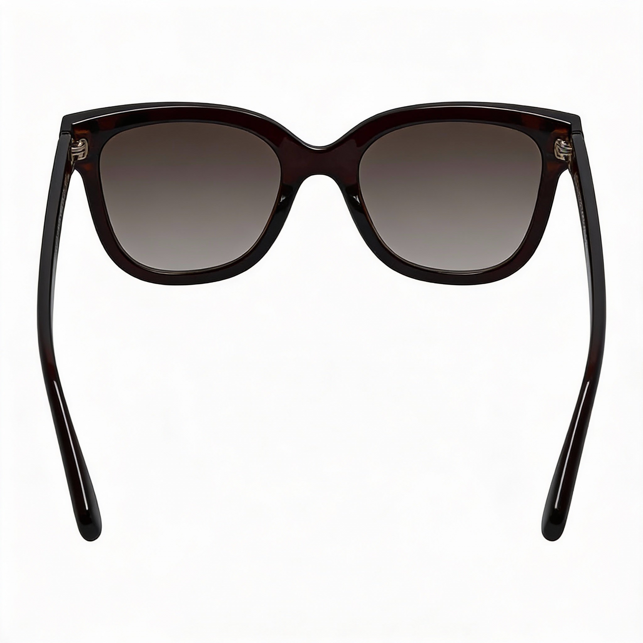 Salvatore Ferragamo Classic SF1066S Women's Crystal Brown Plastic Frame Grey Gradient 100% UV Protection Sunglasses 52mm