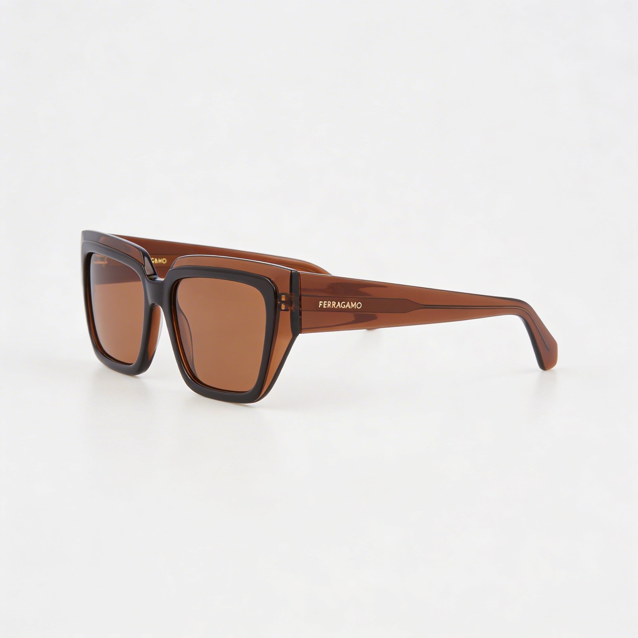 Ferragamo Sf2002s Unisex Plastic Frame Transparent Brown Lenses with UV Protection 55mm, Photo 3