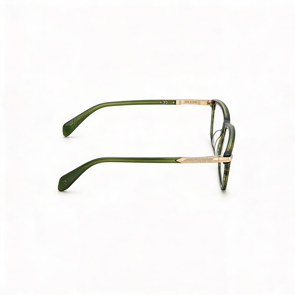 Gafas de sol no polarizadas Rag & Bone de acetato color cuerno caqui moderno para mujer 54mm