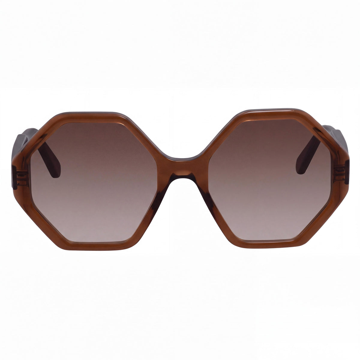 Salvatore Ferragamo Classic Women's Crystal Brown Acetate Grey Non-Polarized UV Protected 55mm Sunglasses, Photo 2