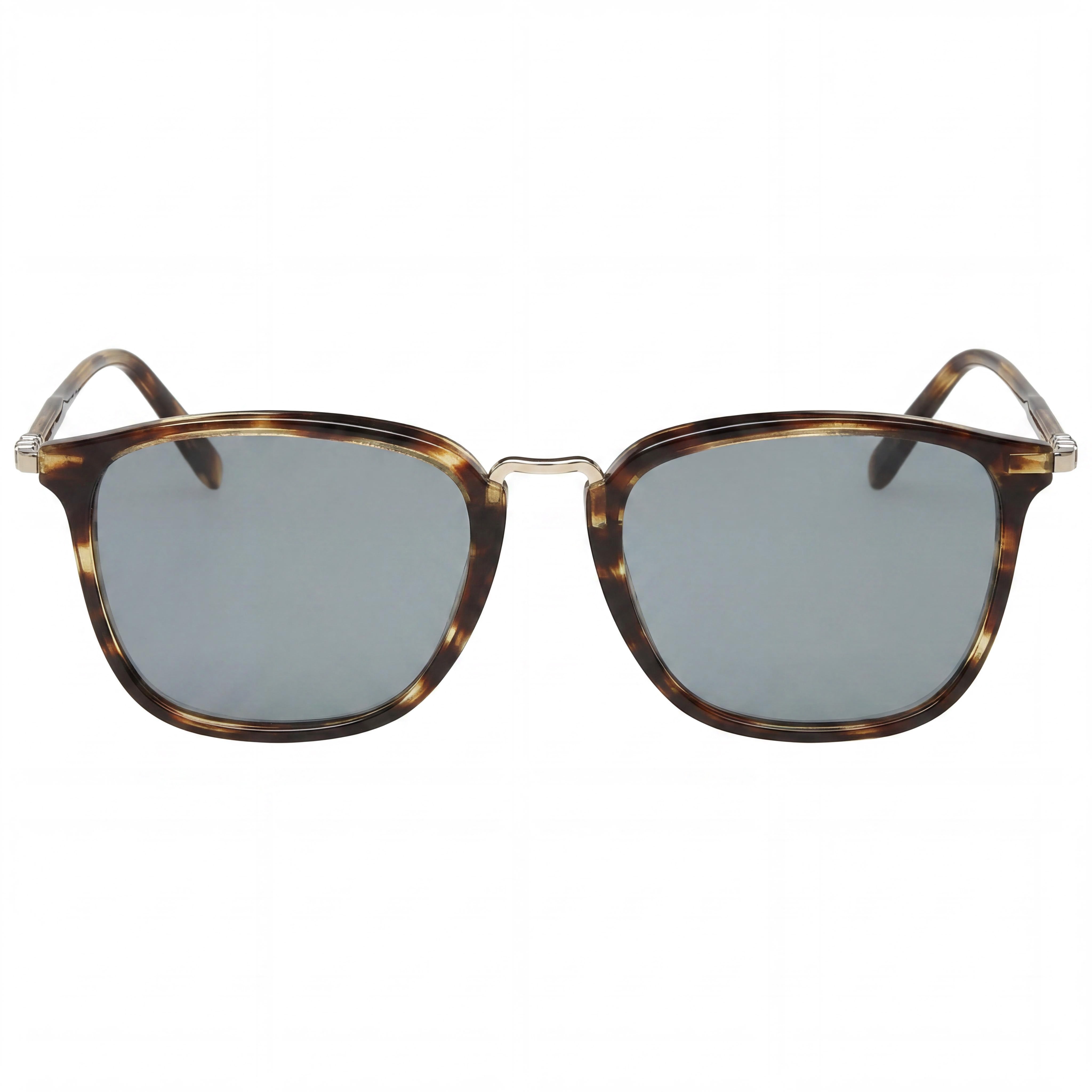 Salvatore Ferragamo Navigator Women's Striped Brown Blue Plastic Frame Solid Blue Non-Polarized UV Sunglasses 53mm, Photo 2
