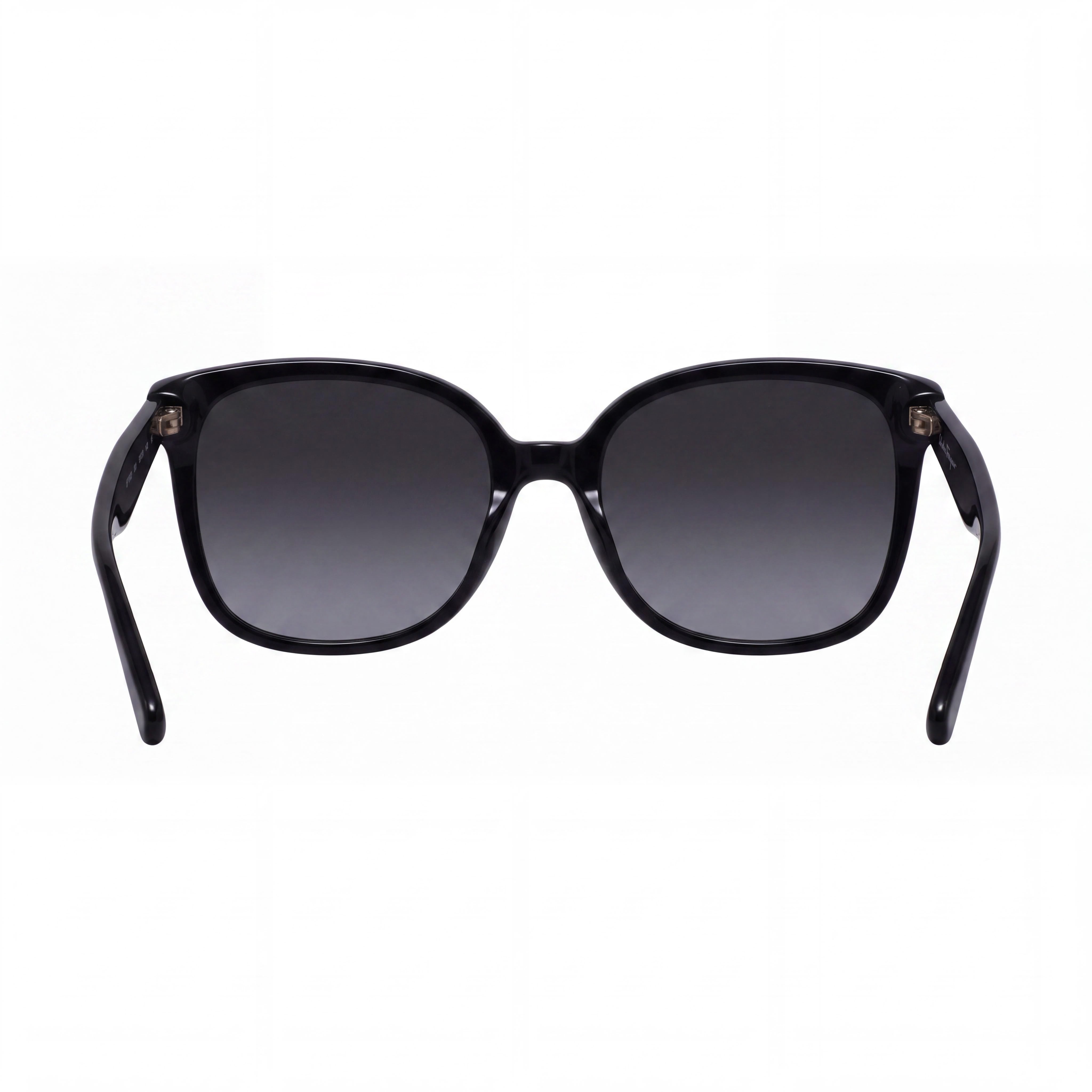 Salvatore Ferragamo SF1072S Women's Black Plastic Square Grey Gradient 100% UV Protection Sunglasses 56mm, Photo 2