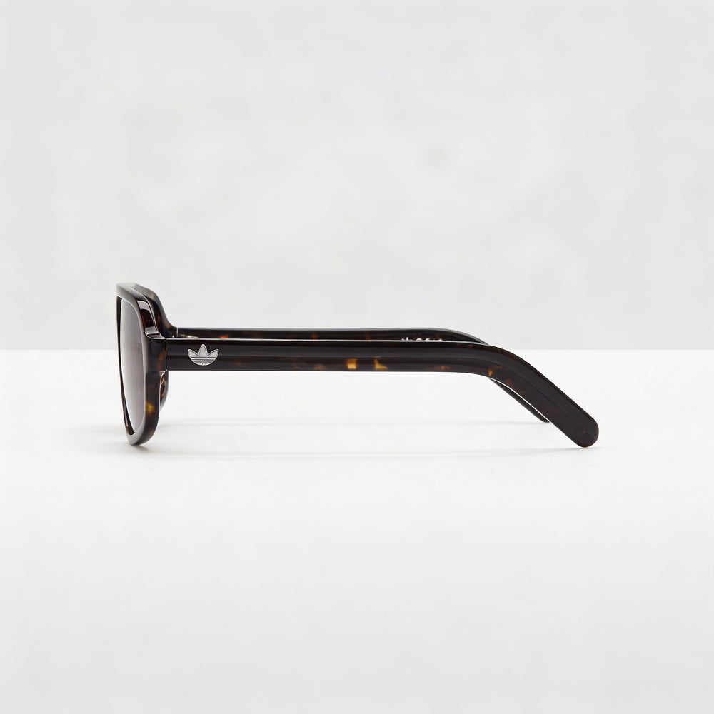 Gafas de sol Adidas Originals Classic para hombre en acetato Havana oscuro de 55 mm