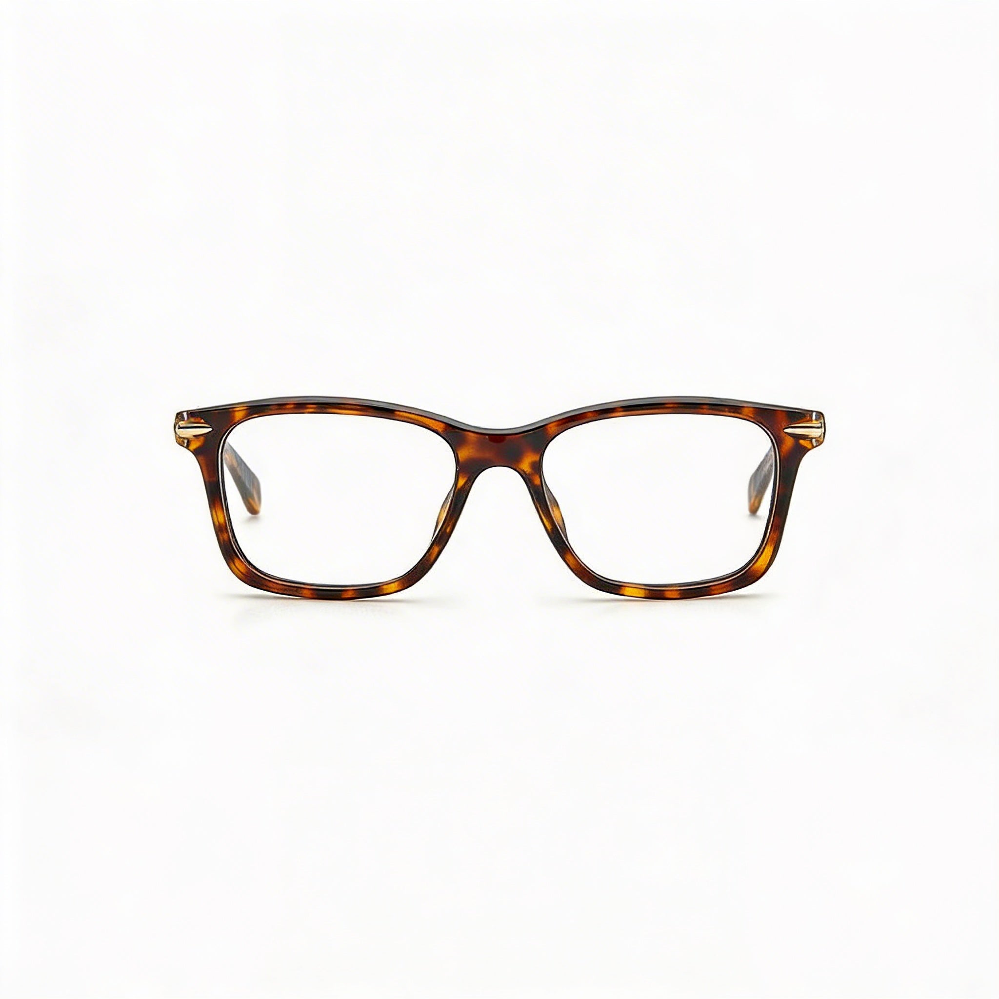 Gafas de lectura para mujer Rag & Bone RNB7041/G con montura Habana y lentes de plástico, Photo 2