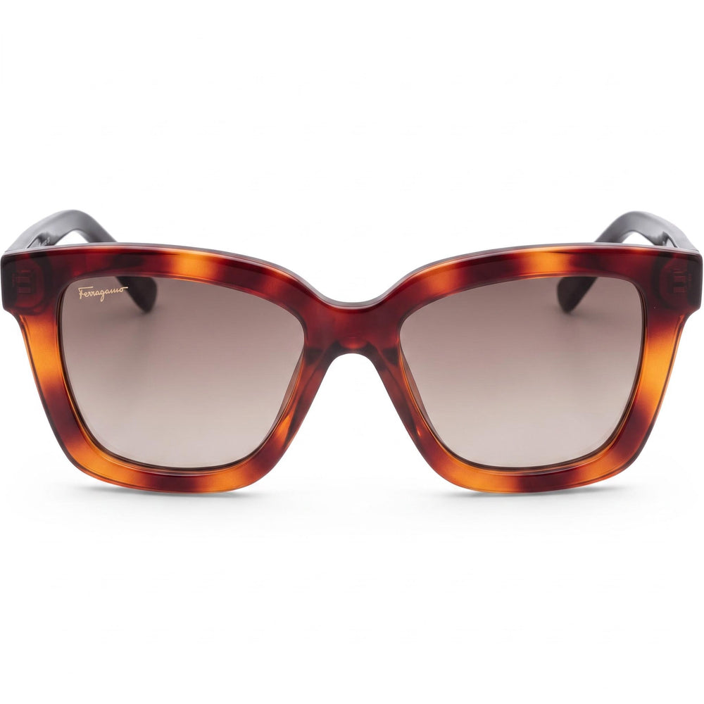 Ferragamo Classic Unisex Tortoise Plastic Brown Gradient Non-Polarized UV Protection Sunglasses 53mm Lens