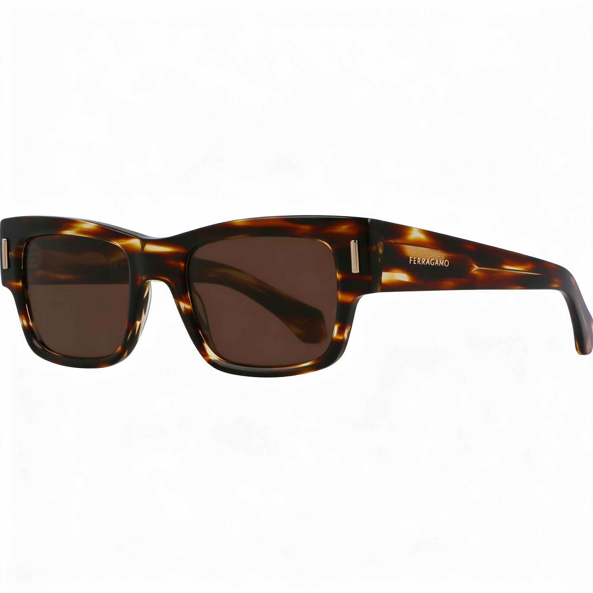 Salvatore Ferragamo Sf2011s Men's Plastic Frame Eyewear featuring UV Protection, Striped Brown, 53mm, Photo 1