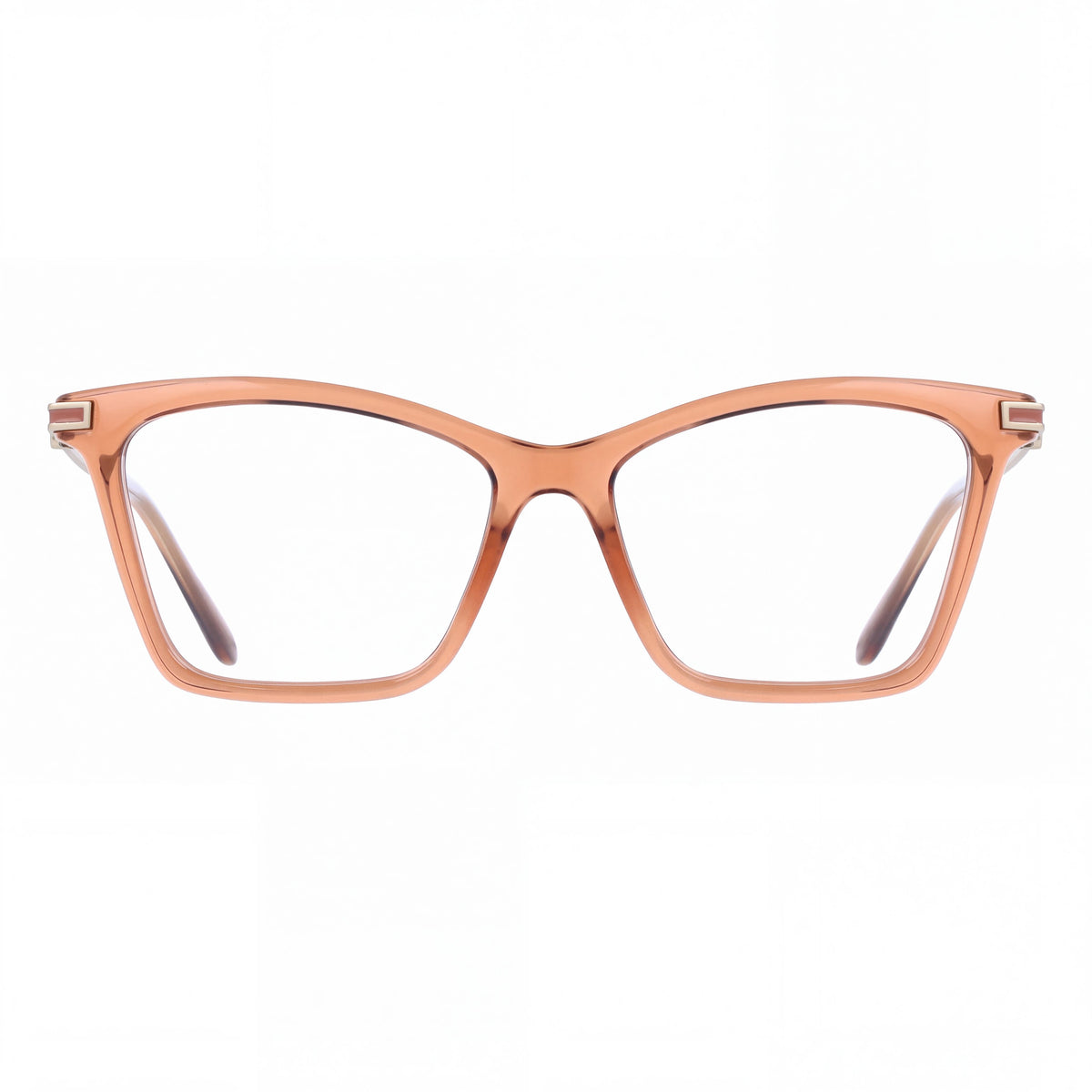 Salvatore Ferragamo Sf3024 Men's Transparent Brown Acetate Optical Eyeglasses with 53mm Lens Width, Photo 2