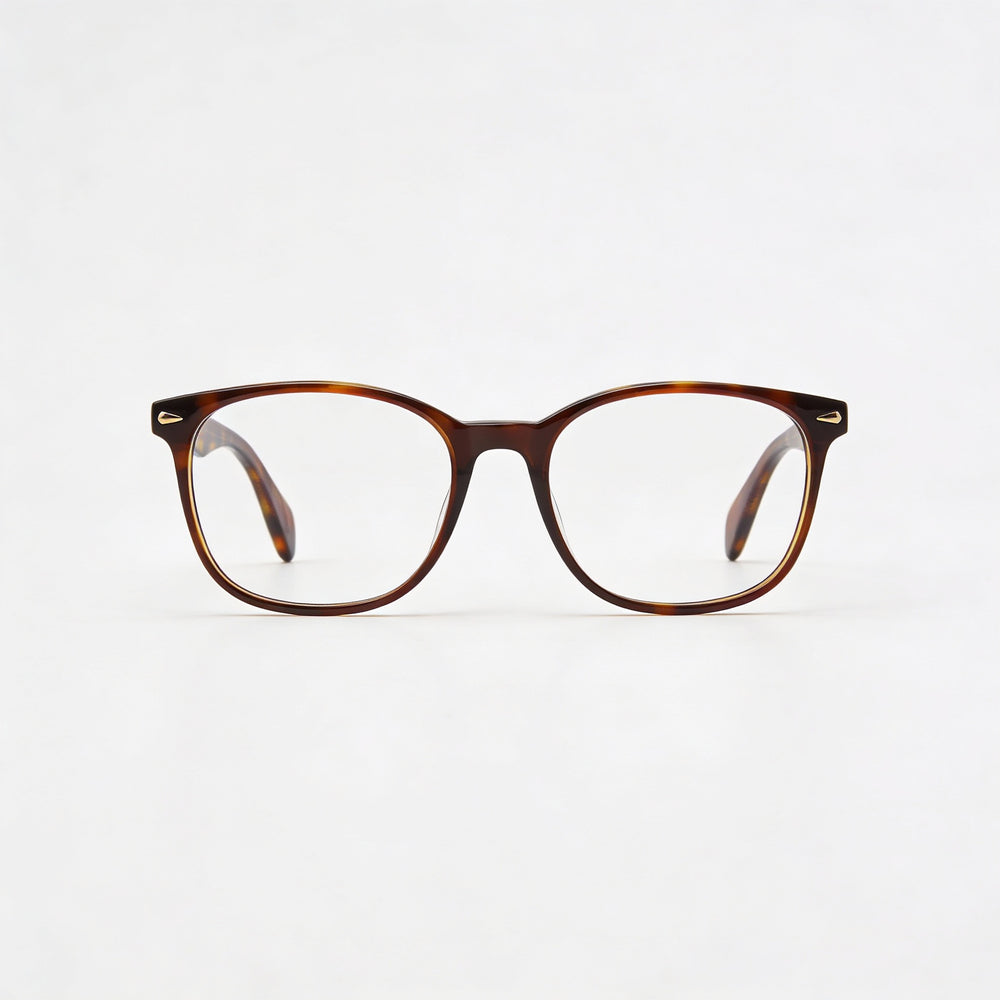 Montura de gafas rag & bone Rnb 3017 Havana de acetato para mujer, ancho de lente de 51 mm, puente de 18 mm, patilla de 140 mm