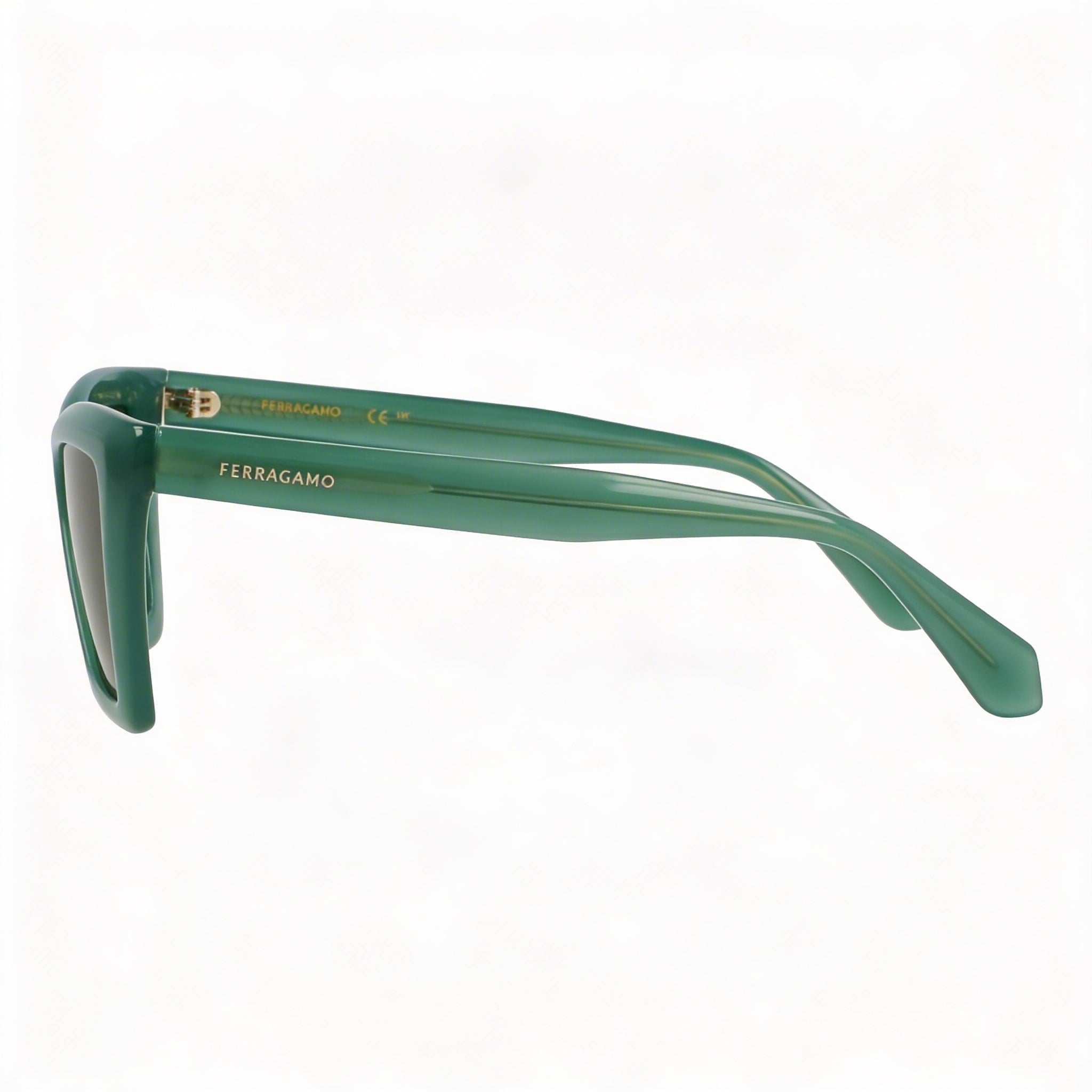 Ferragamo Sf2039se Unisex Acetate Eyewear, Opaline Green Frame, Solid Green Lenses, Size 53/17/145, Photo 3