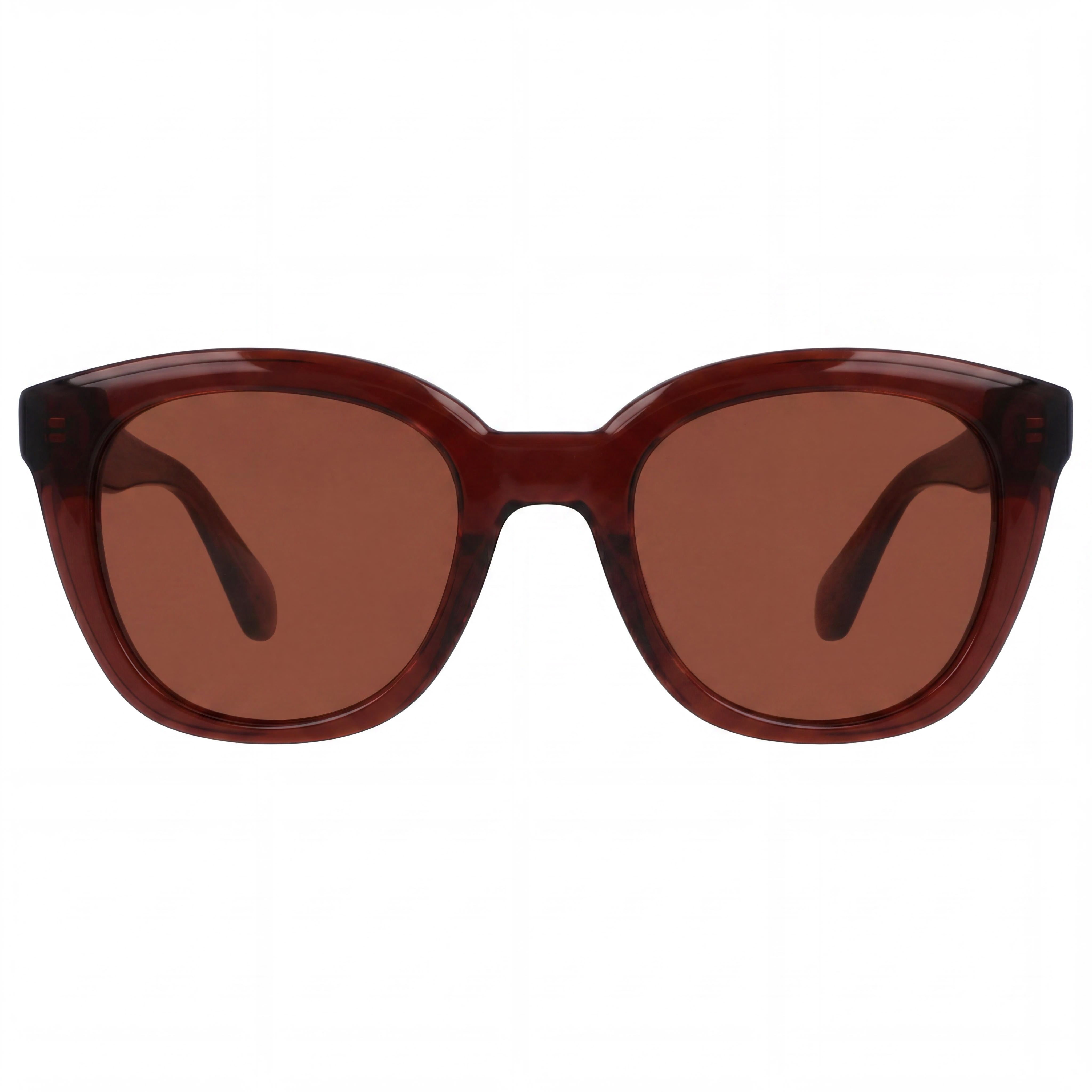 Salvatore Ferragamo Ojo de Gato Hombre Transparente Marrón Inyectado Protección UV 52mm, Photo 2