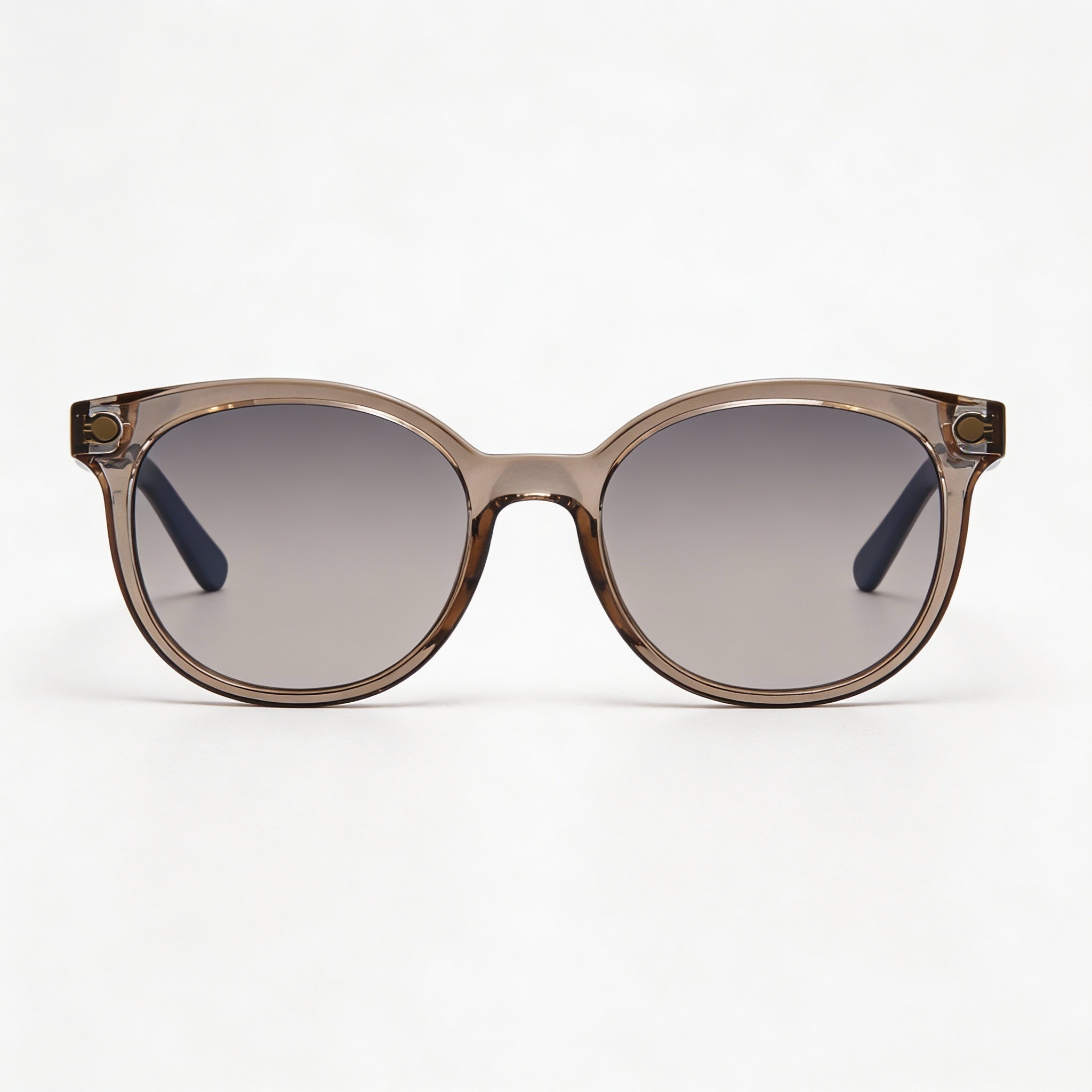 Salvatore Ferragamo Contemporary Women's Crystal Nude Metal Frame Grey Lens UV Protection Non-Polarized Sunglasses 53mm