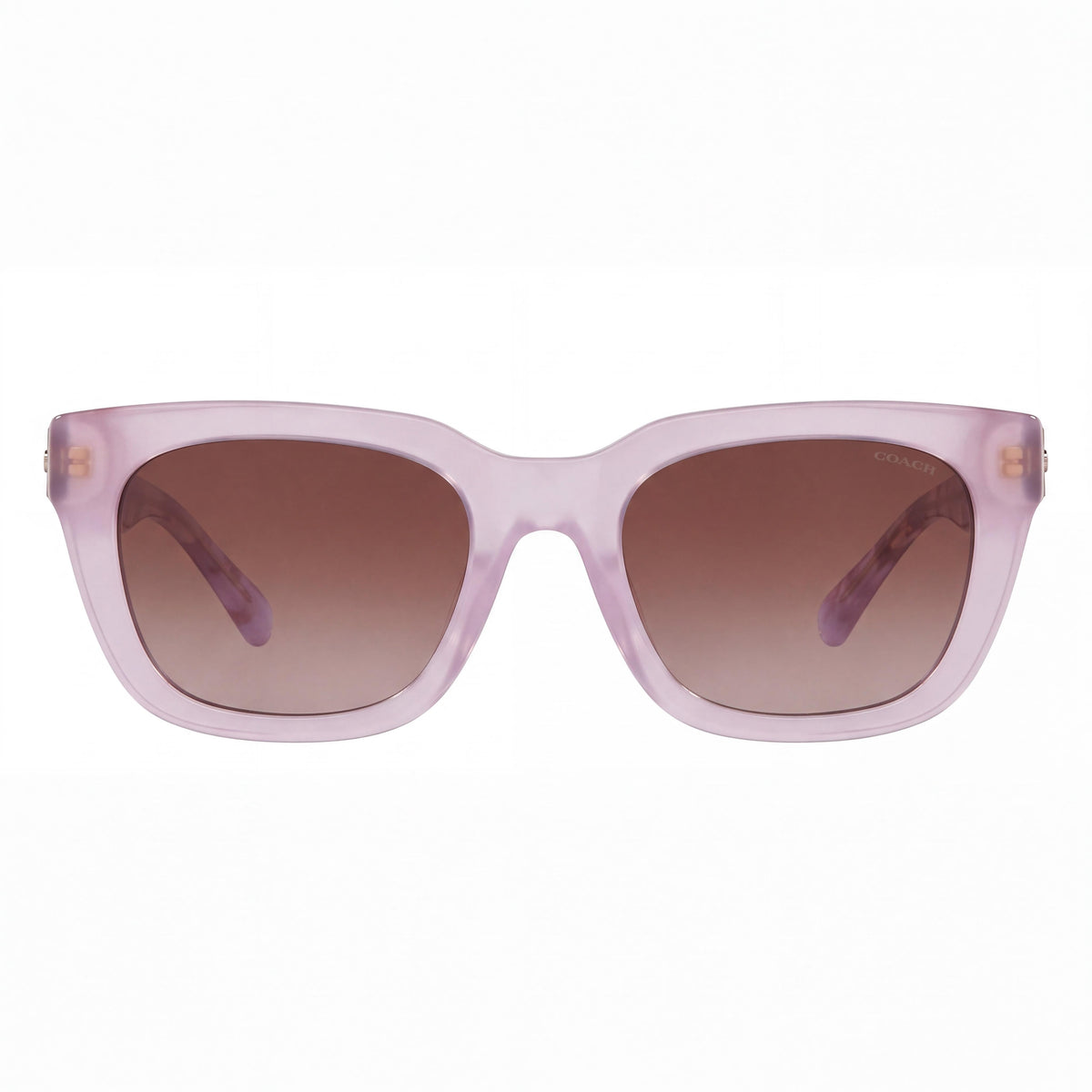 Gafas de sol cuadradas de plástico para mujer Coach 0HC8318, montura morada translúcida, lentes con degradado marrón y morado, protección UV, aptas para graduación, 52 mm, Photo 2