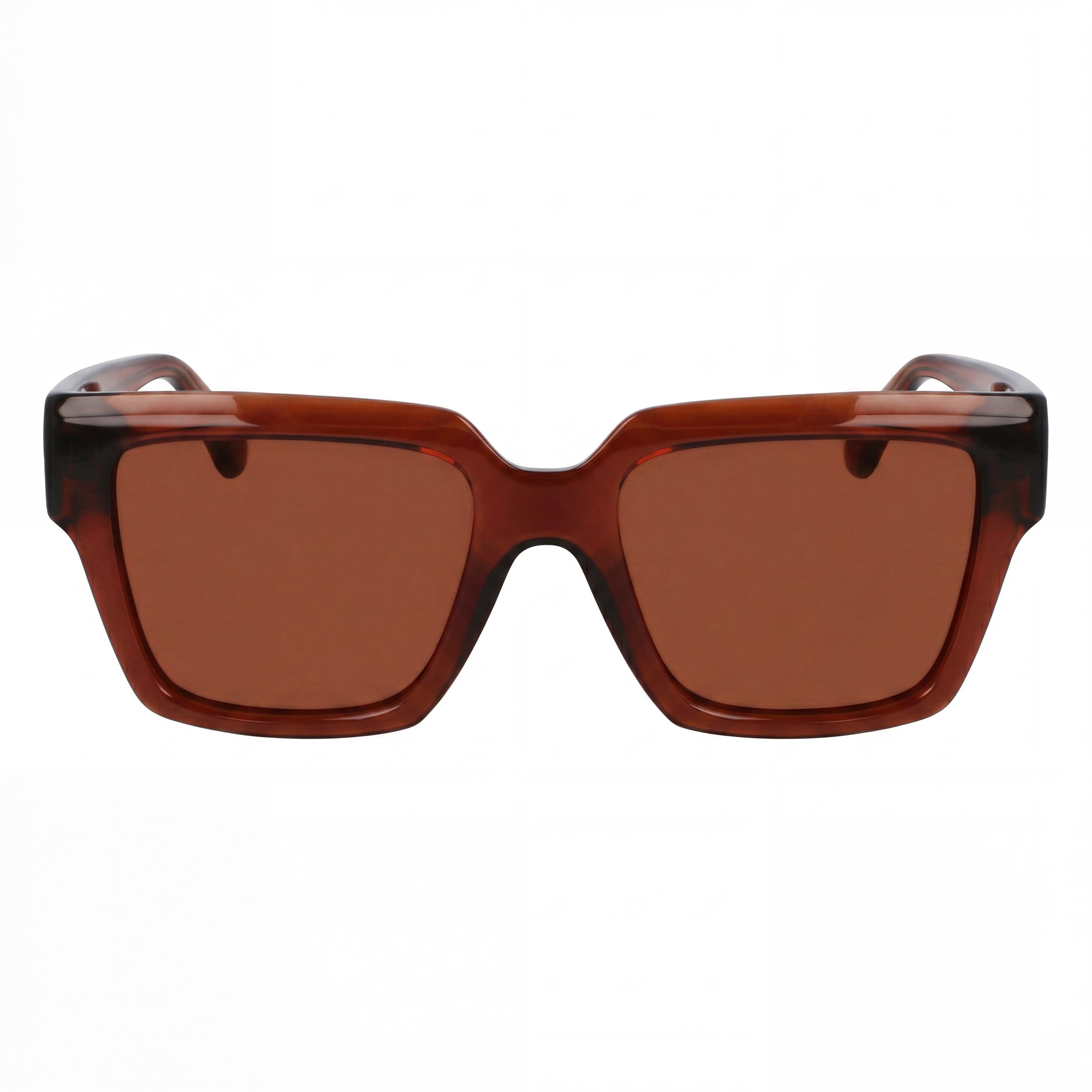 Gafas de sol de plástico transparente marrón para mujer Ferragamo Sf2014s, lentes de acetato marrón,, Photo 2