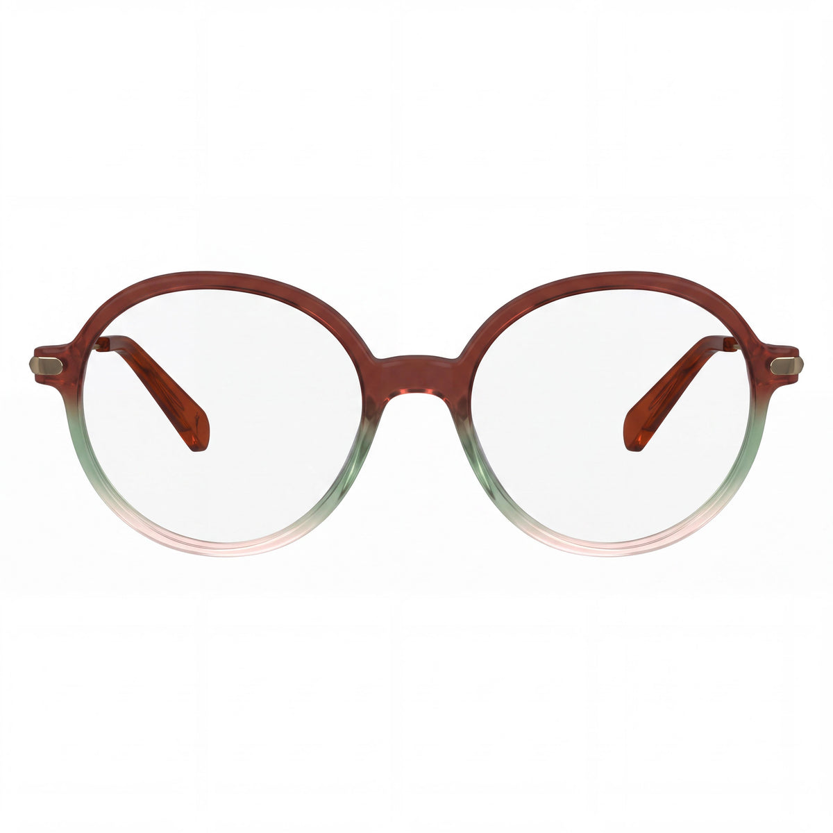 Longchamp Lo2736 Women's Brown Green Rose 50mm, Photo 2