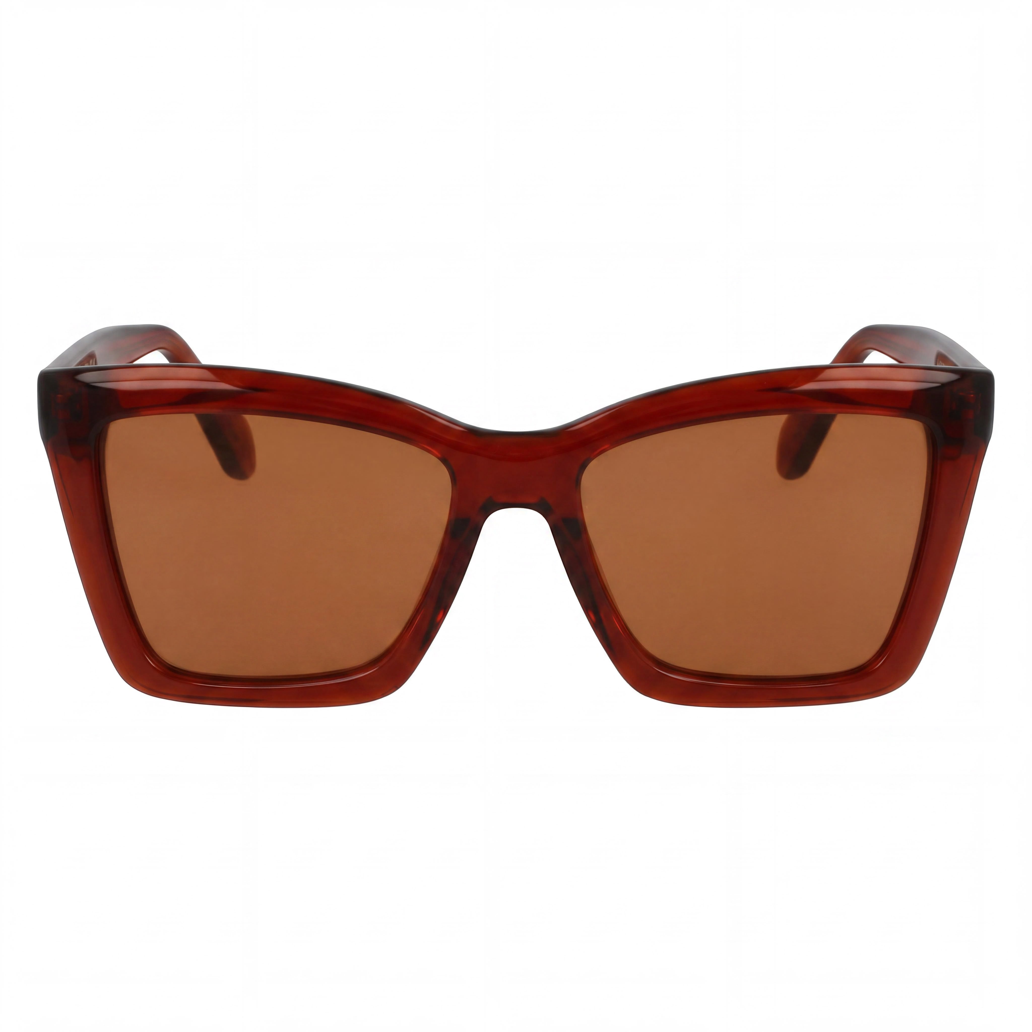 Ferragamo Sf2039se Women's Acetate Transparent Rust Sunglasses with UV 400 Solid Brick Lenses 53mm, Photo 2