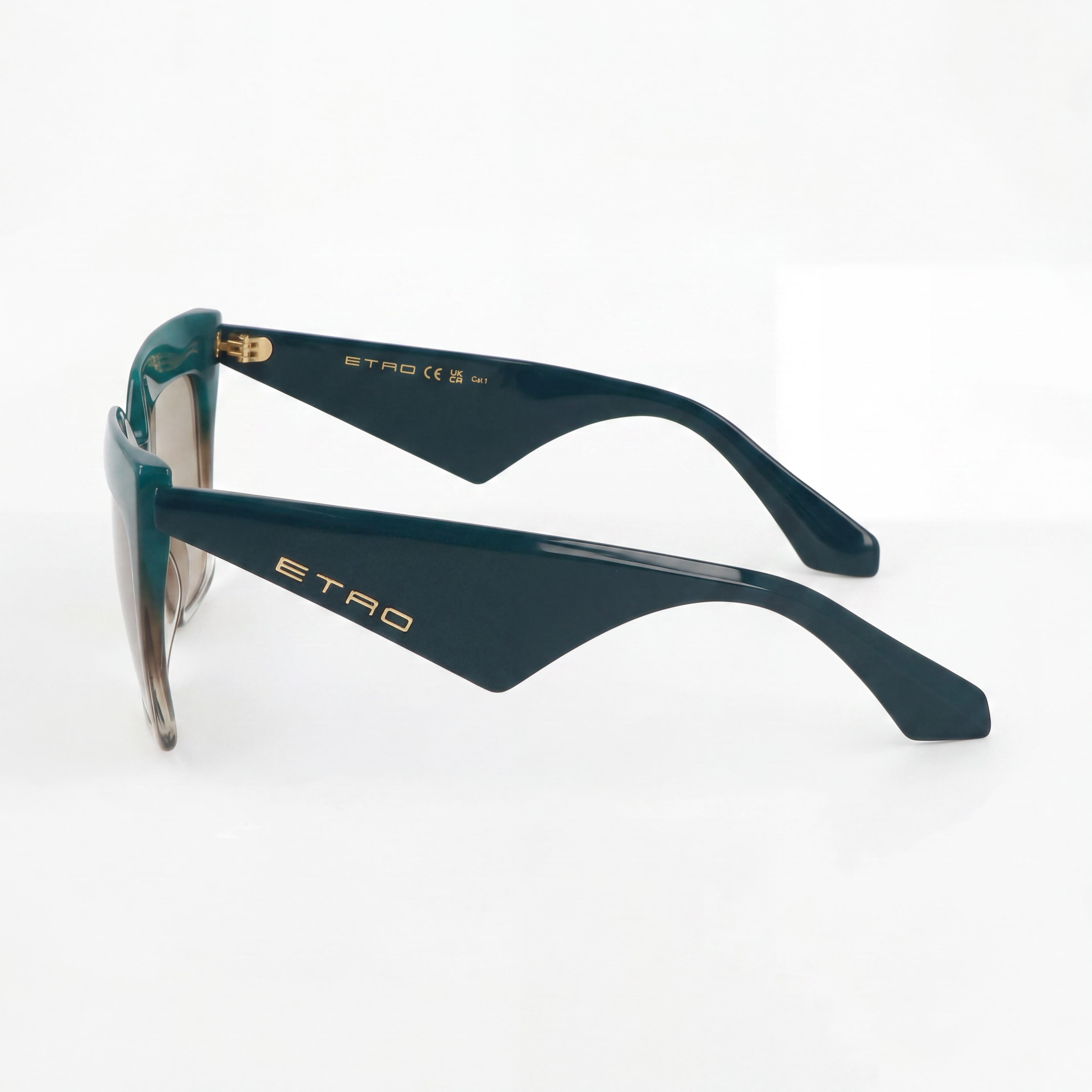 Etro Casual Women's Khaki Green Acetate Non-Polarized Sunglasses with 58mm Lens Width, 17mm Bridge, 145mm Temple Length, Photo 2