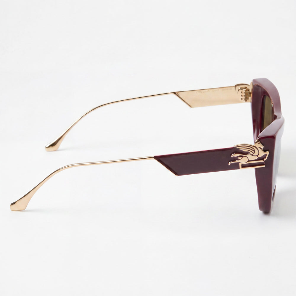Etro Modern Men's Burgundy Acetate Frame Sunglasses, Burgundy Non-Polarized Polycarbonate Lenses, 54-20-140