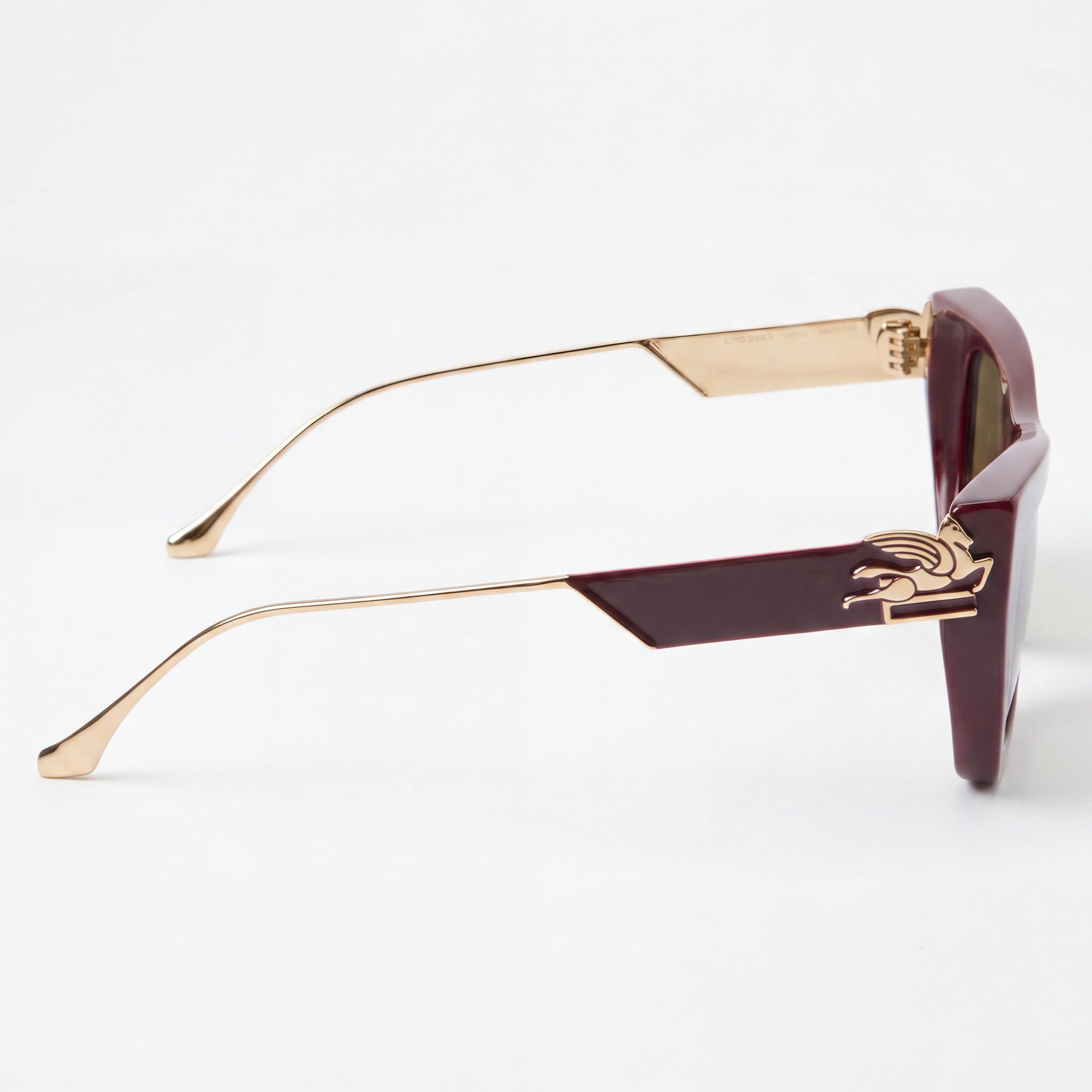 Gafas de sol de acetato burdeos Etro Modern para hombre, lentes de policarbonato burdeos no polarizadas, 54-20-140, Photo 3