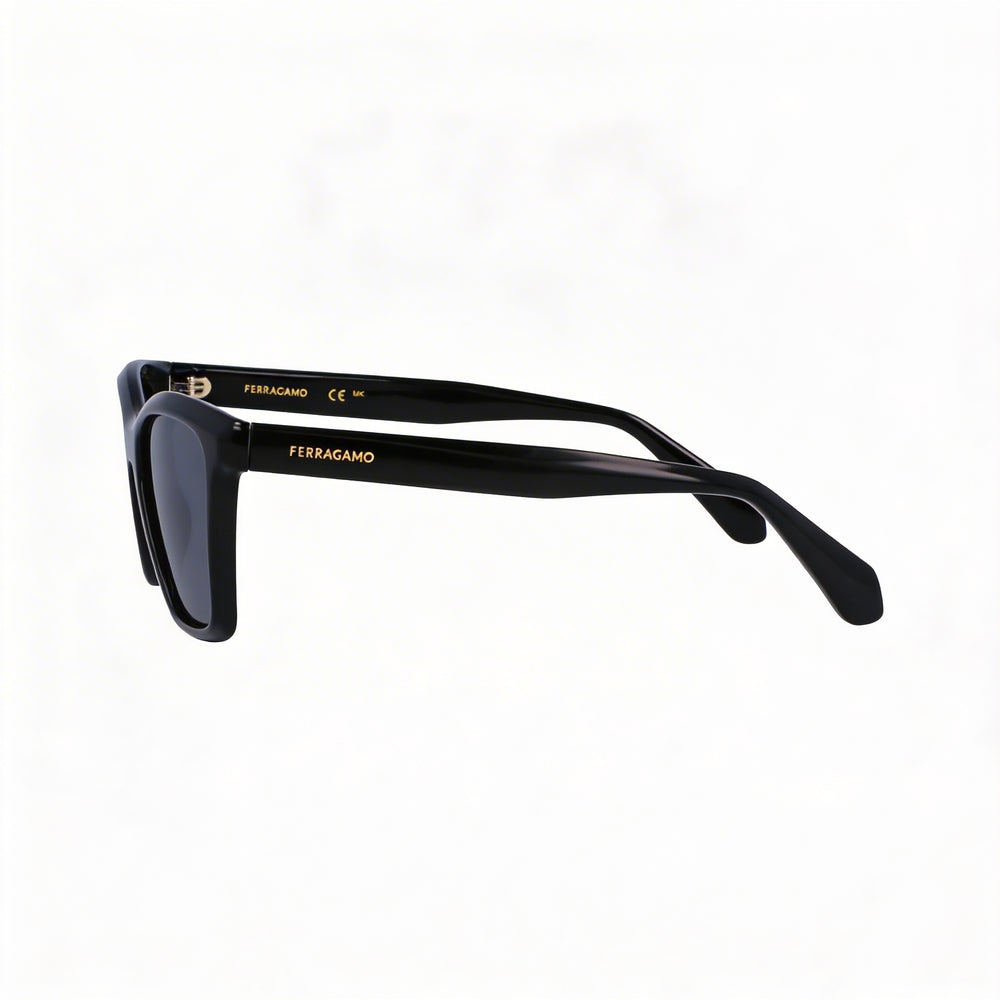 Ferragamo Sf2001s Unisex Black Acetate Eyewear 54mm