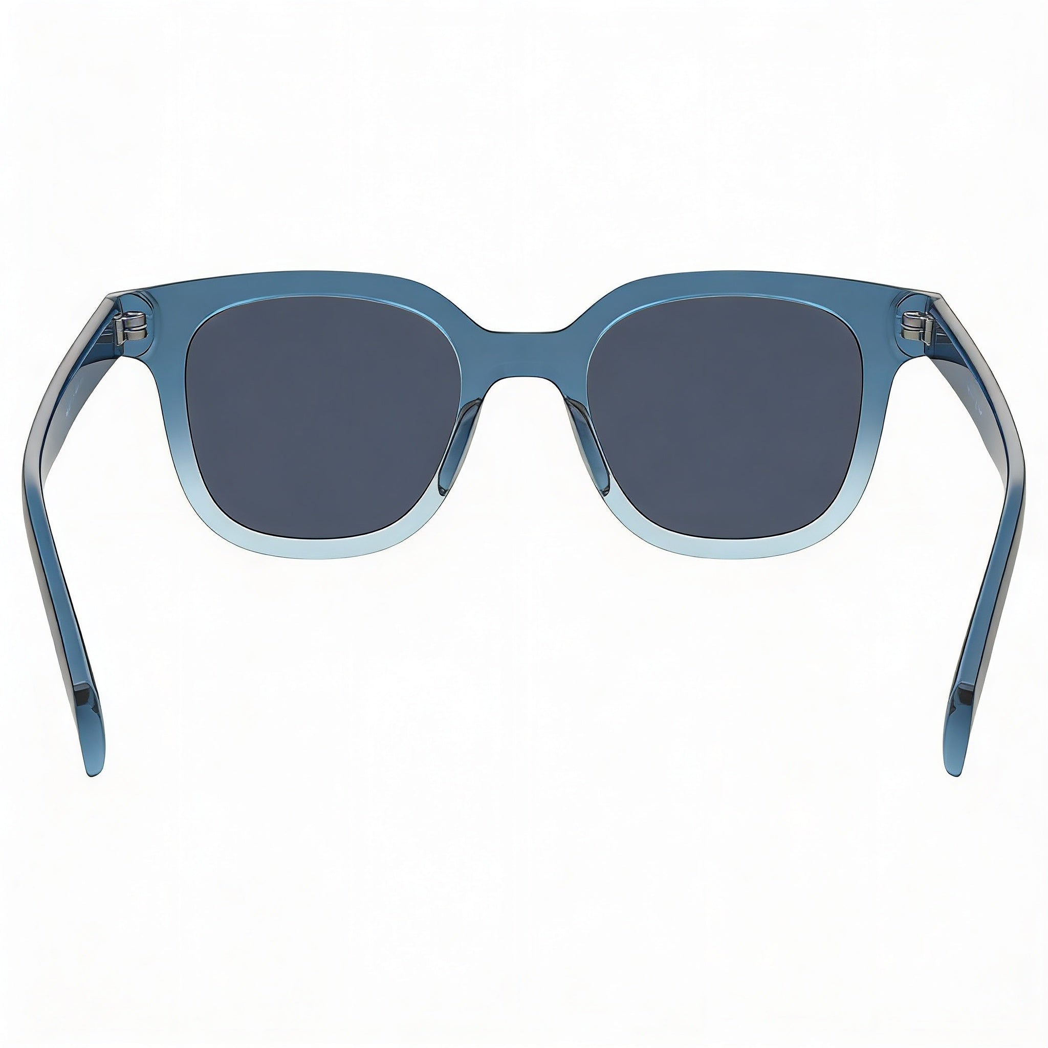 Levi's Lv 1010/S Unisex Blue Injected Frame Polycarbonate Lens UV Protection Sunglasses 48-21-145, Photo 3