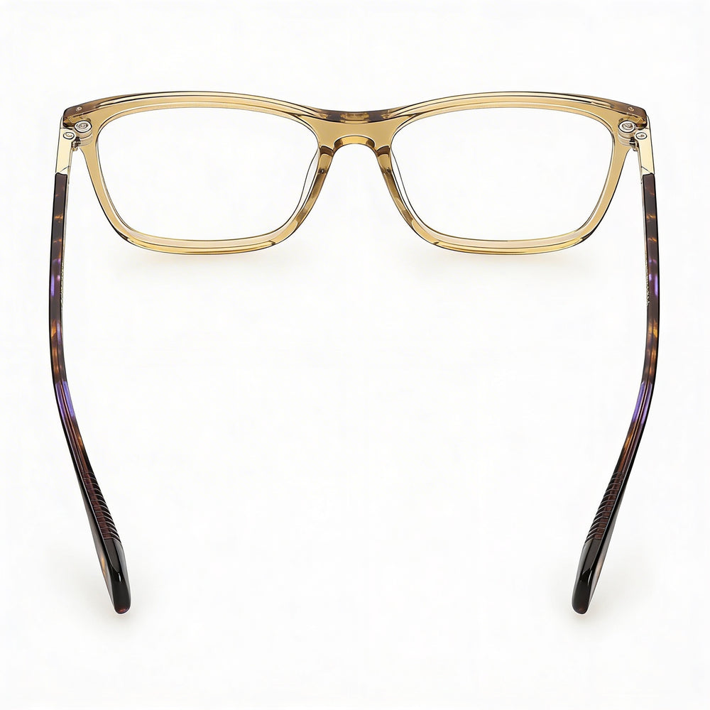 Gafas de acetato Rag & Bone Rnb3031 para mujer, color marrón violeta, con lentes de policarbonato de 54 mm