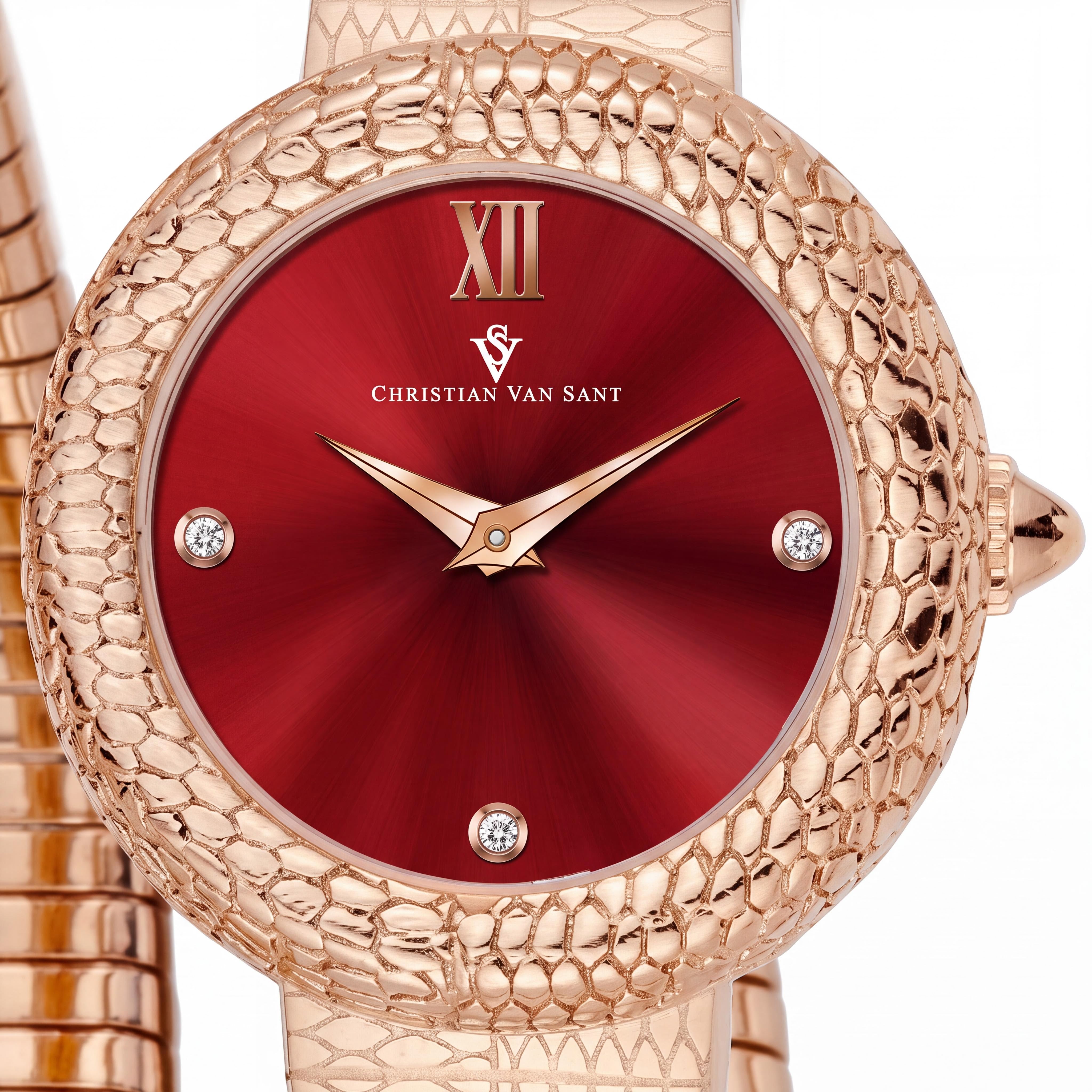 Christian Van Sant CV0893 Modern Women's Watch with Stainless Steel Case, Stainless Steel Bracelet, Red Dial, Water Resistant, Photo 2