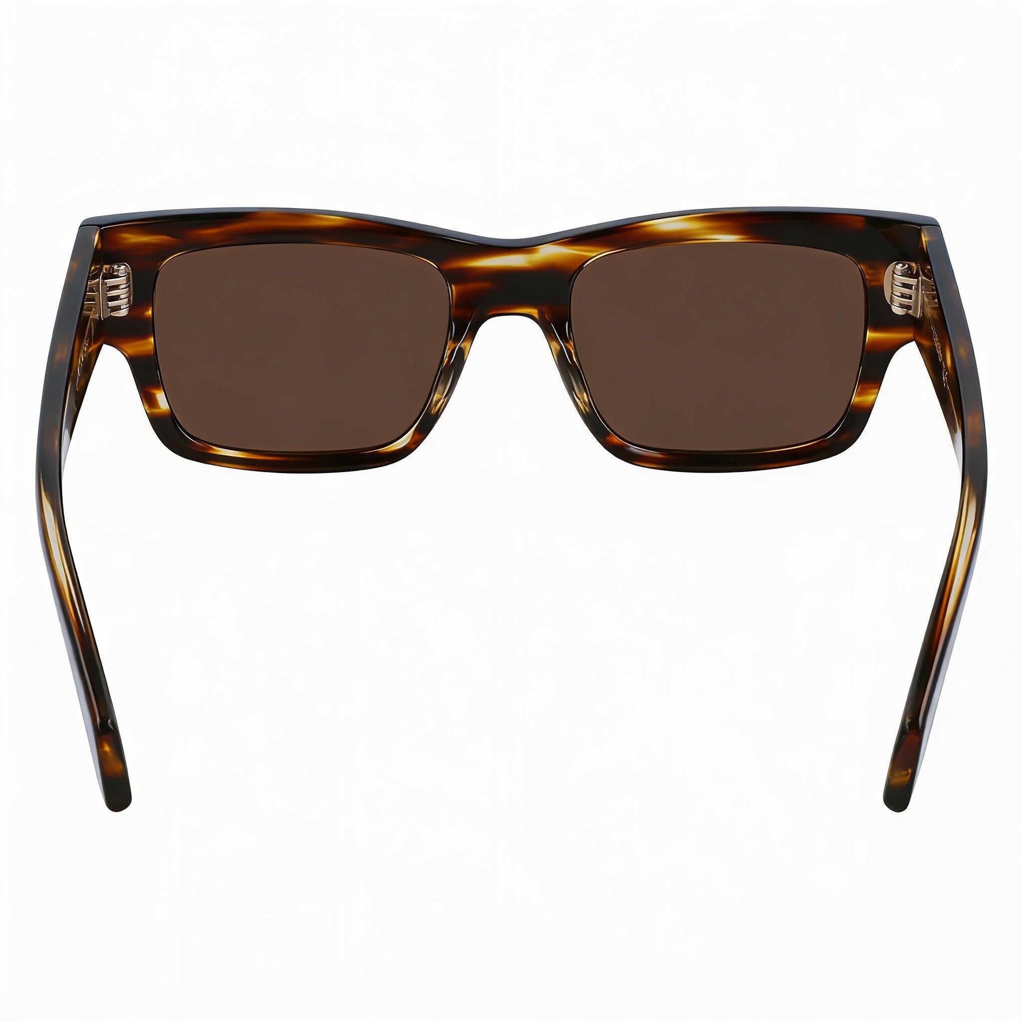 Salvatore Ferragamo Sf2011s Men's Plastic Frame Eyewear featuring UV Protection, Striped Brown, 53mm, Photo 4