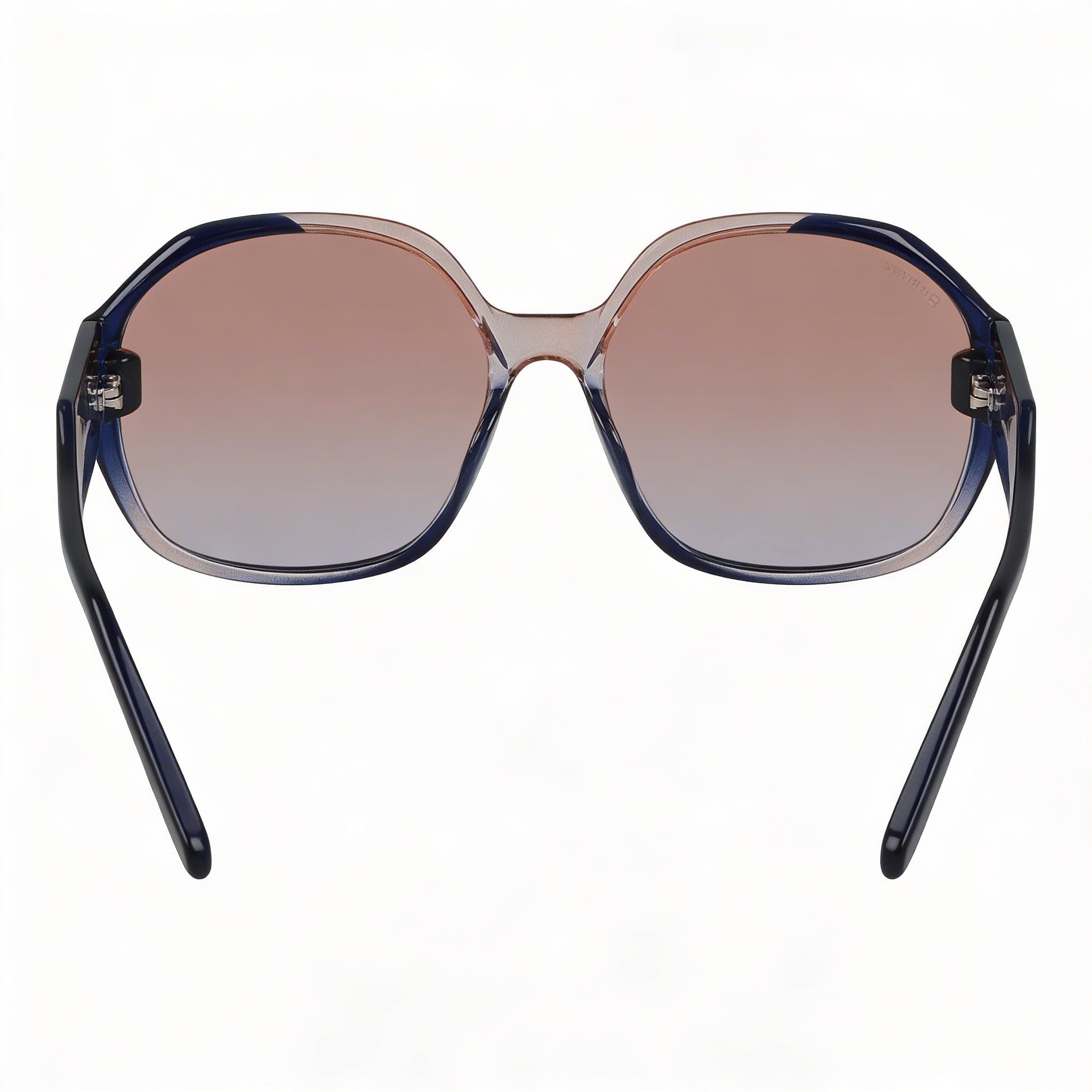 Salvatore Ferragamo Sf943s Unisex Grey Rose Gradient Acetate UV Protection Sunglasses 60mm, Photo 3