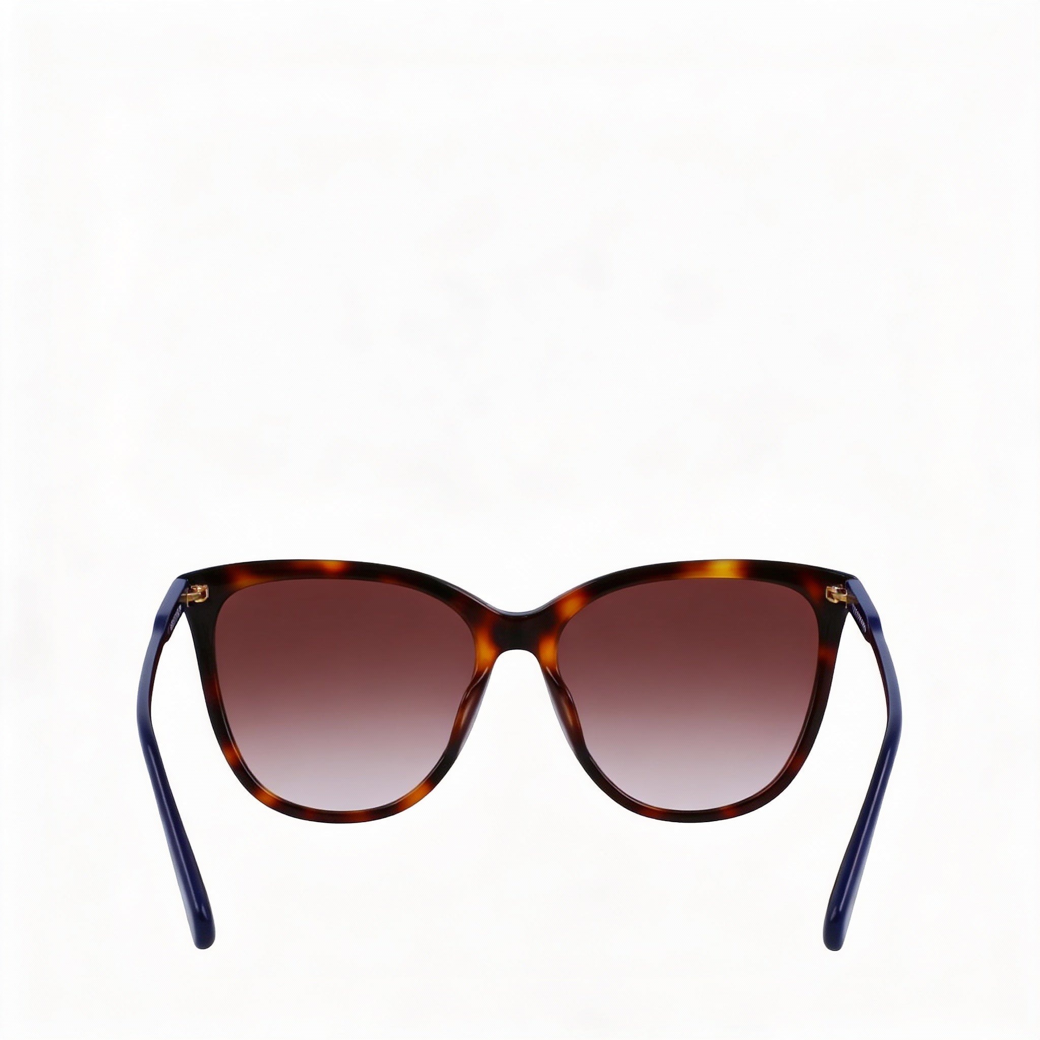 Gafas de sol Longchamp Modern LO718S Havana de acetato con lentes de policarbonato, no polarizadas, para hombre y mujer, 56 mm, Photo 3