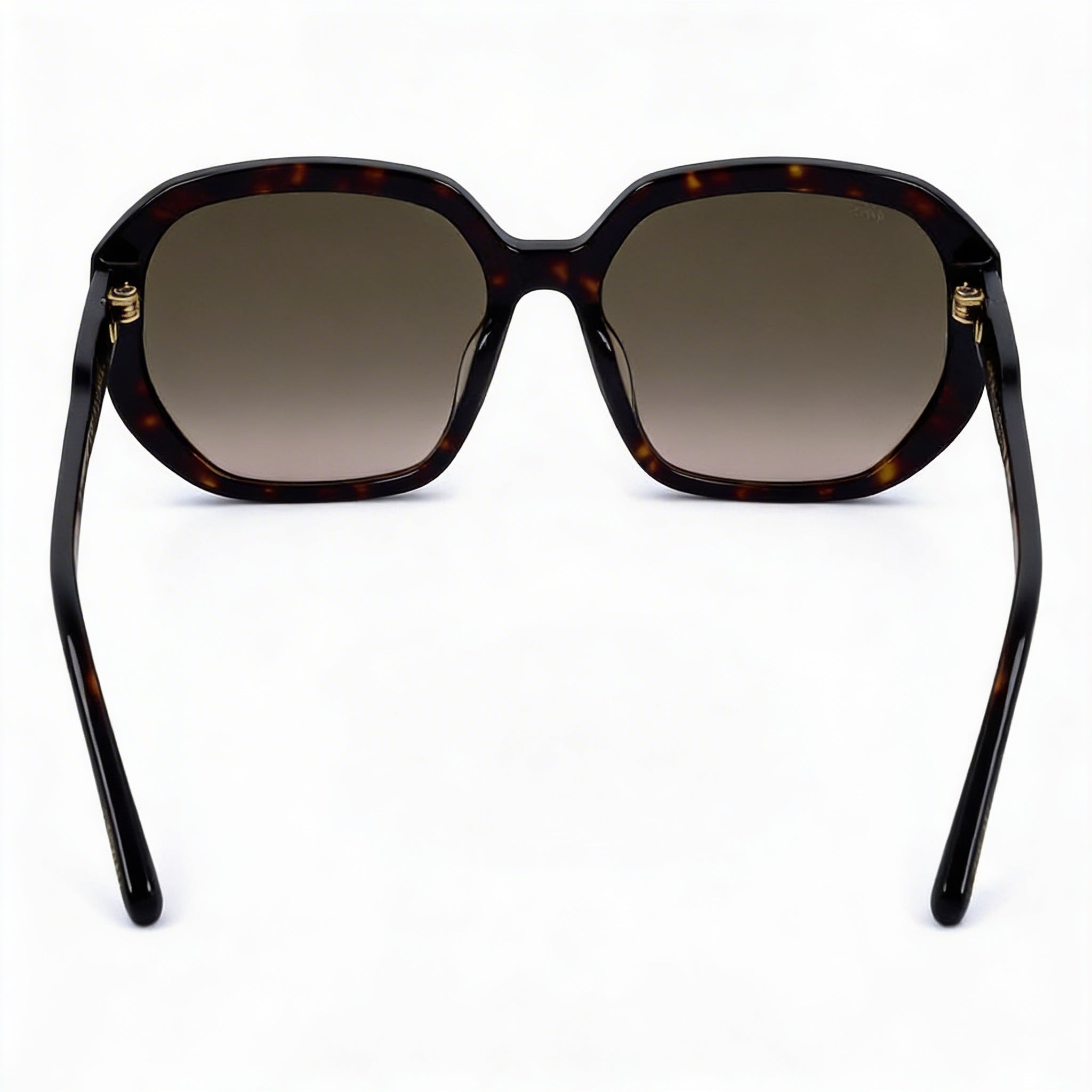 JIMMY CHOO Classic Women's Brown Gradient Plastic Frame Non-Polarized UV Protection Sunglasses 57mm, Photo 3