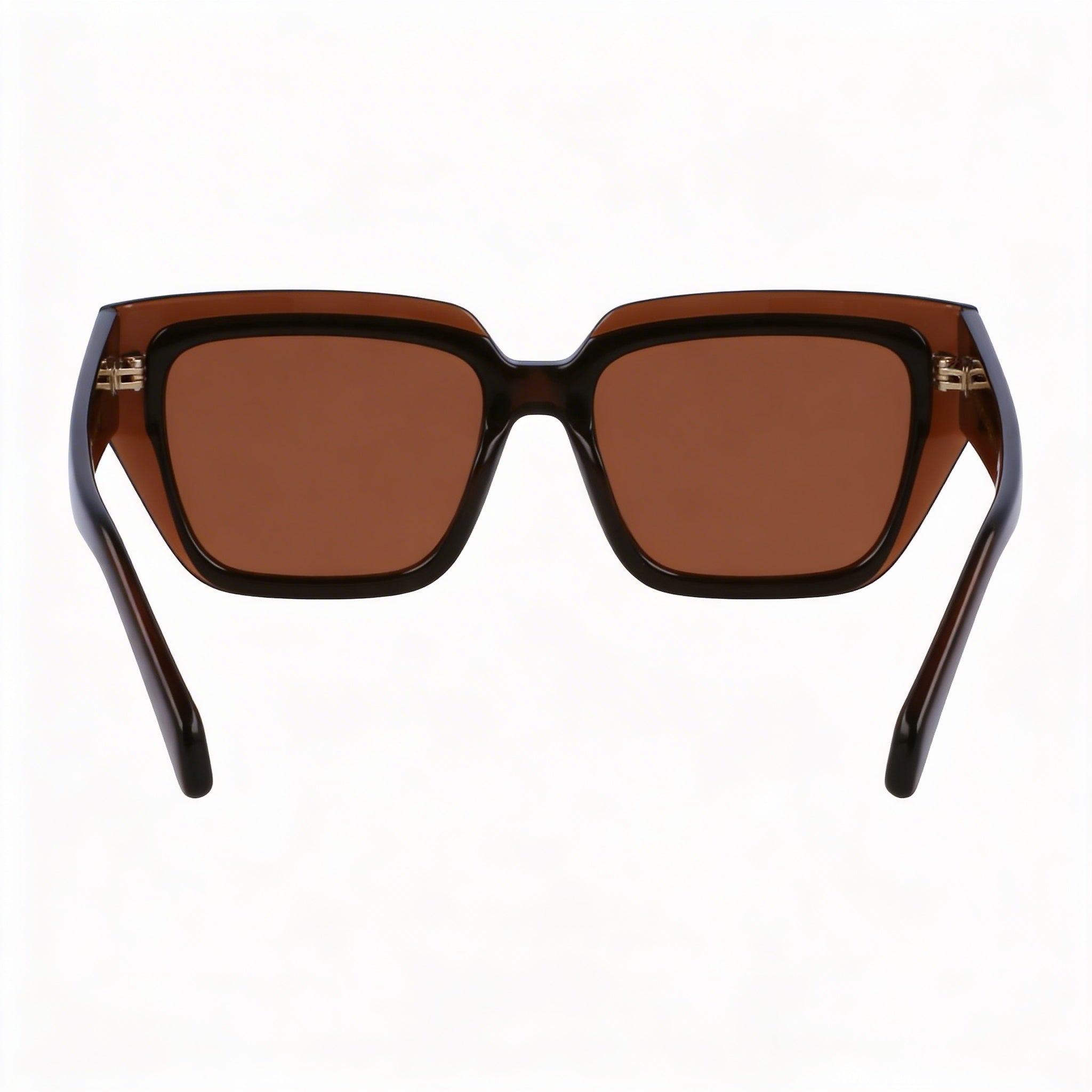 Ferragamo Sf2002s Unisex Plastic Frame Transparent Brown Lenses with UV Protection 55mm, Photo 4