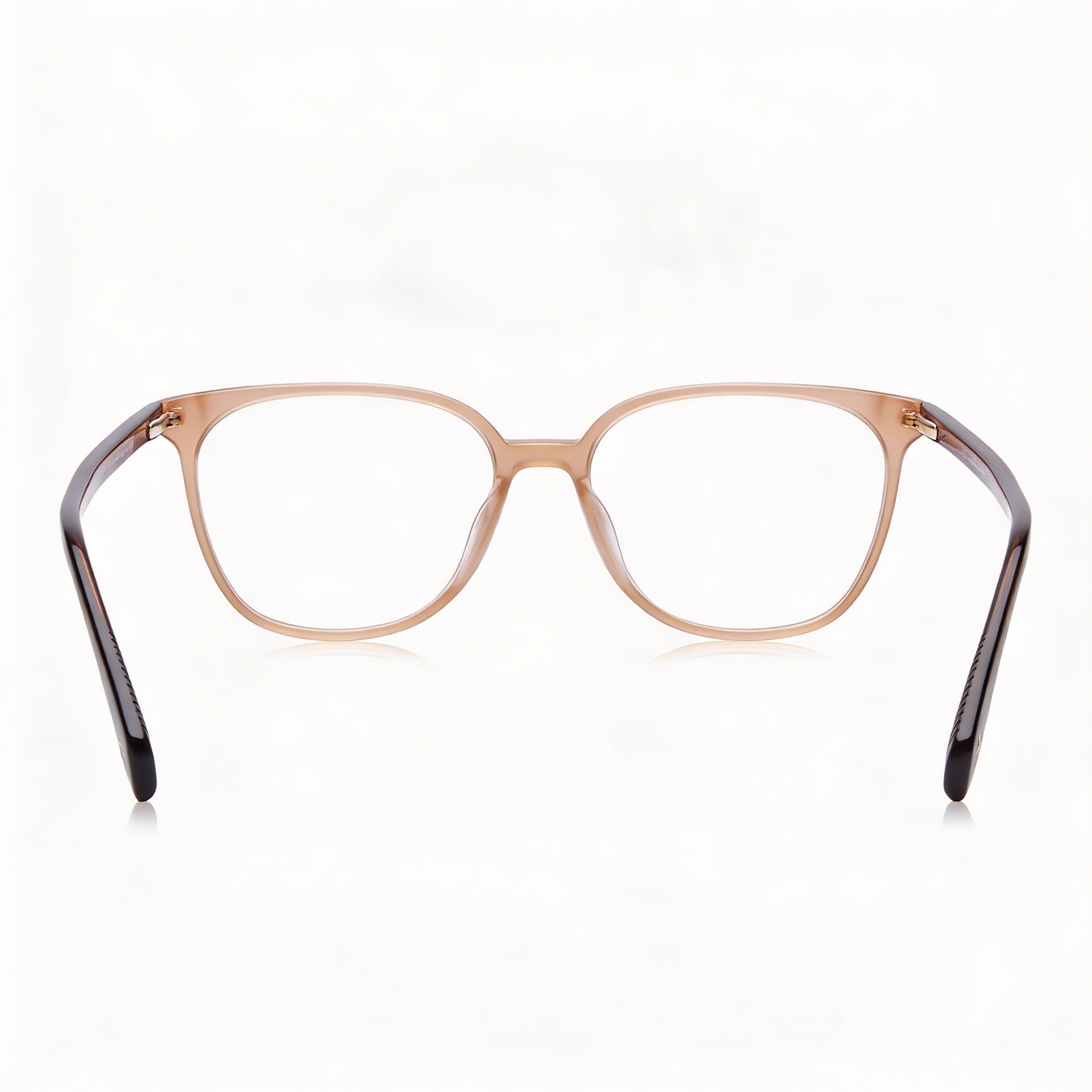 Gafas modernas de acetato marrón para mujer de Rag & Bone con lentes de 52 mm, puente de 16 mm y patillas de 140 mm, Photo 3