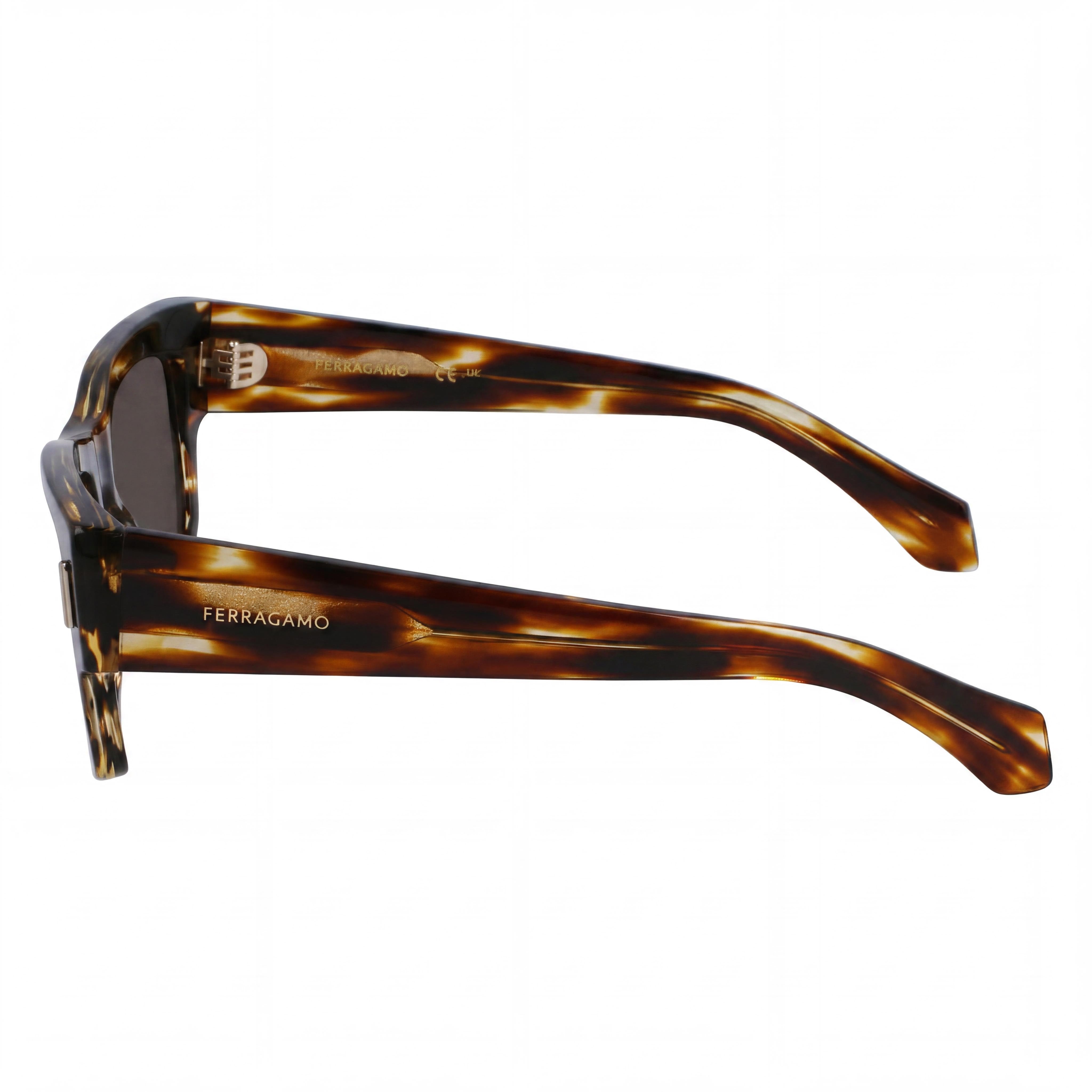 Ferragamo Sf2011s Men's Striped Brown Plastic 53mm 100% UV Non-Polarized Sunglasses, Photo 3