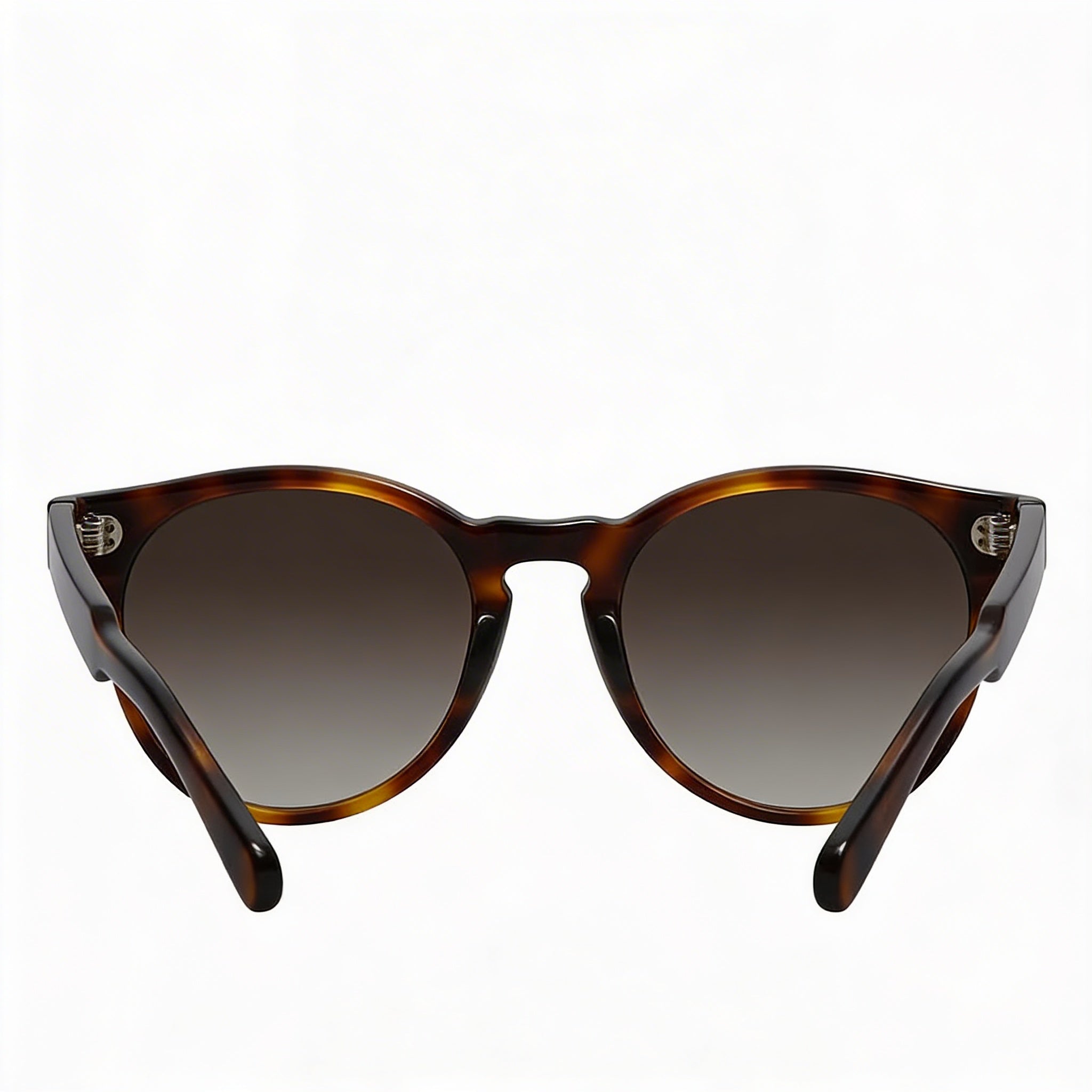 Salvatore Ferragamo Classic Women's Tortoise Plastic Brown Gradient Non-Polarized 100% UV Protection 52mm Sunglasses, Photo 2